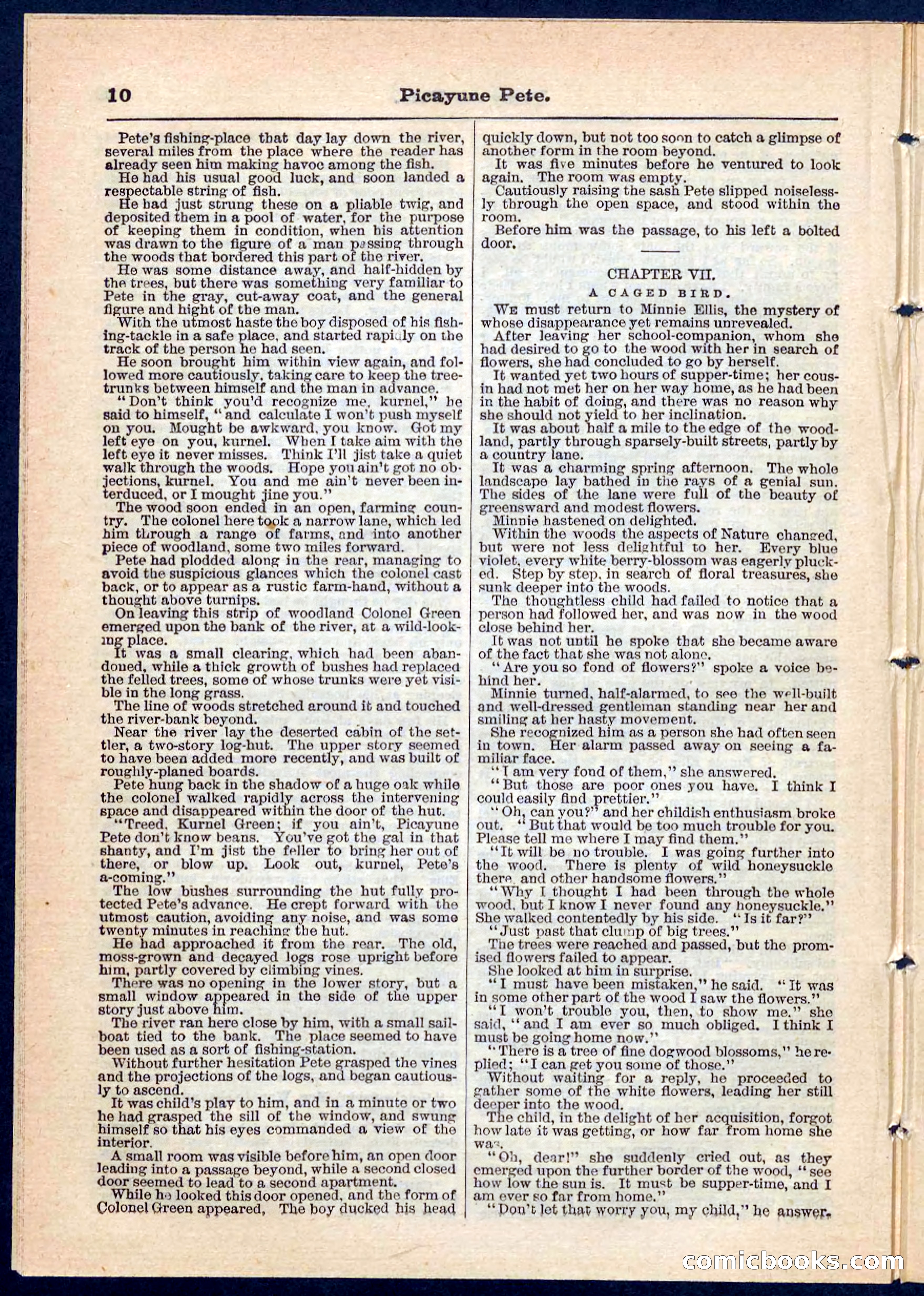 Beadle's Pocket Library No. 74 — page 10 of 32