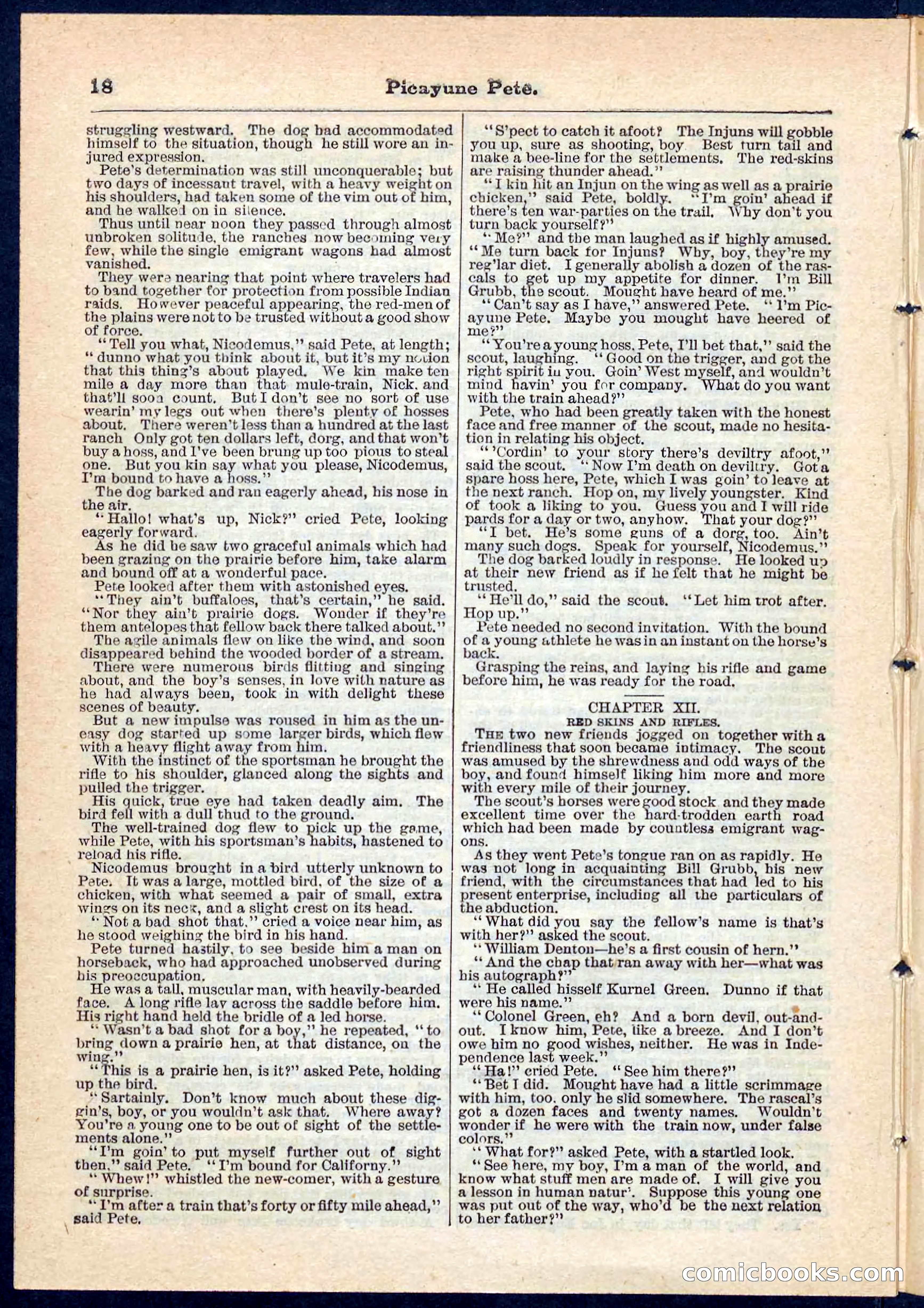 Beadle's Pocket Library No. 74 — page 18 of 32
