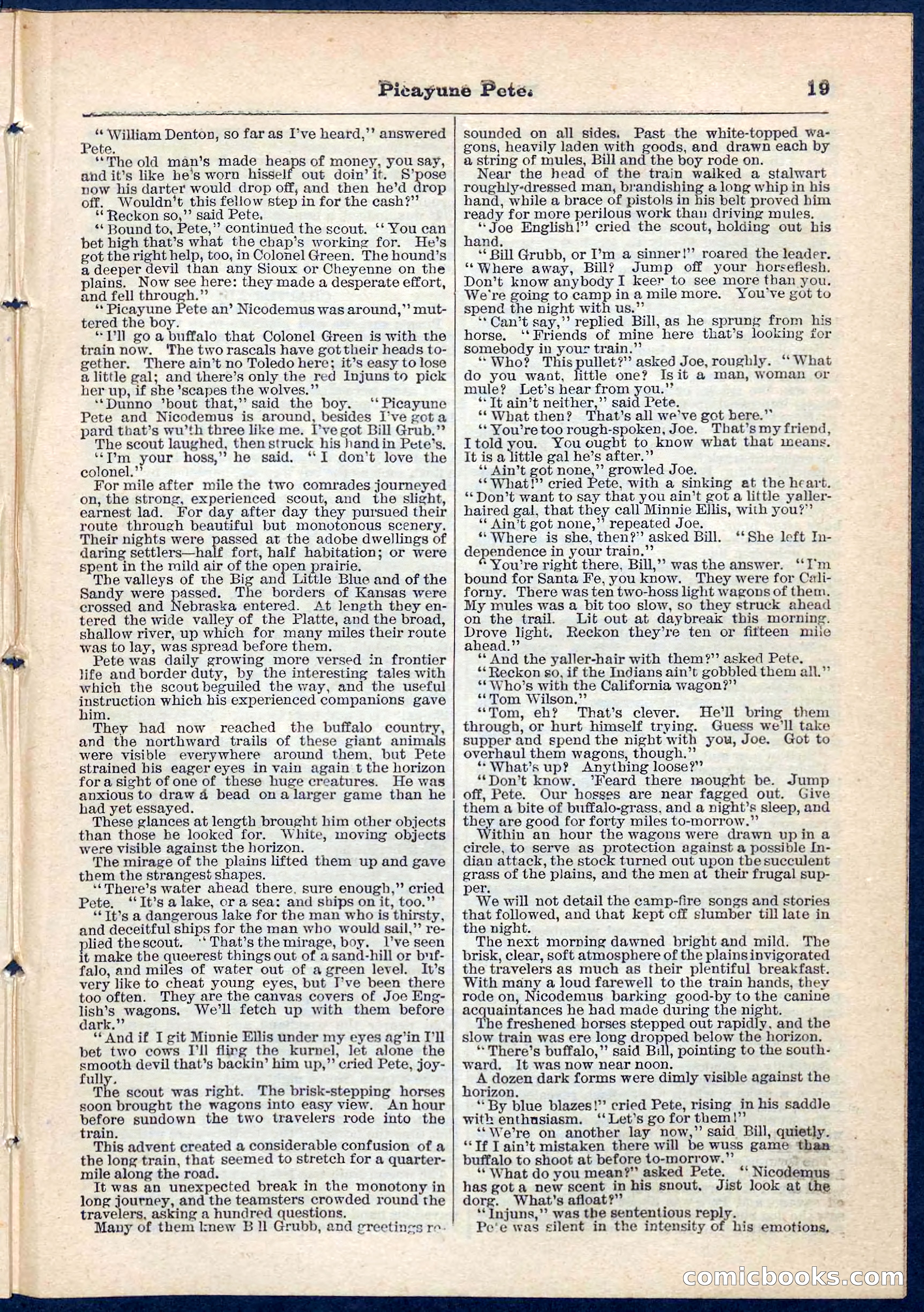 Beadle's Pocket Library No. 74 — page 19 of 32