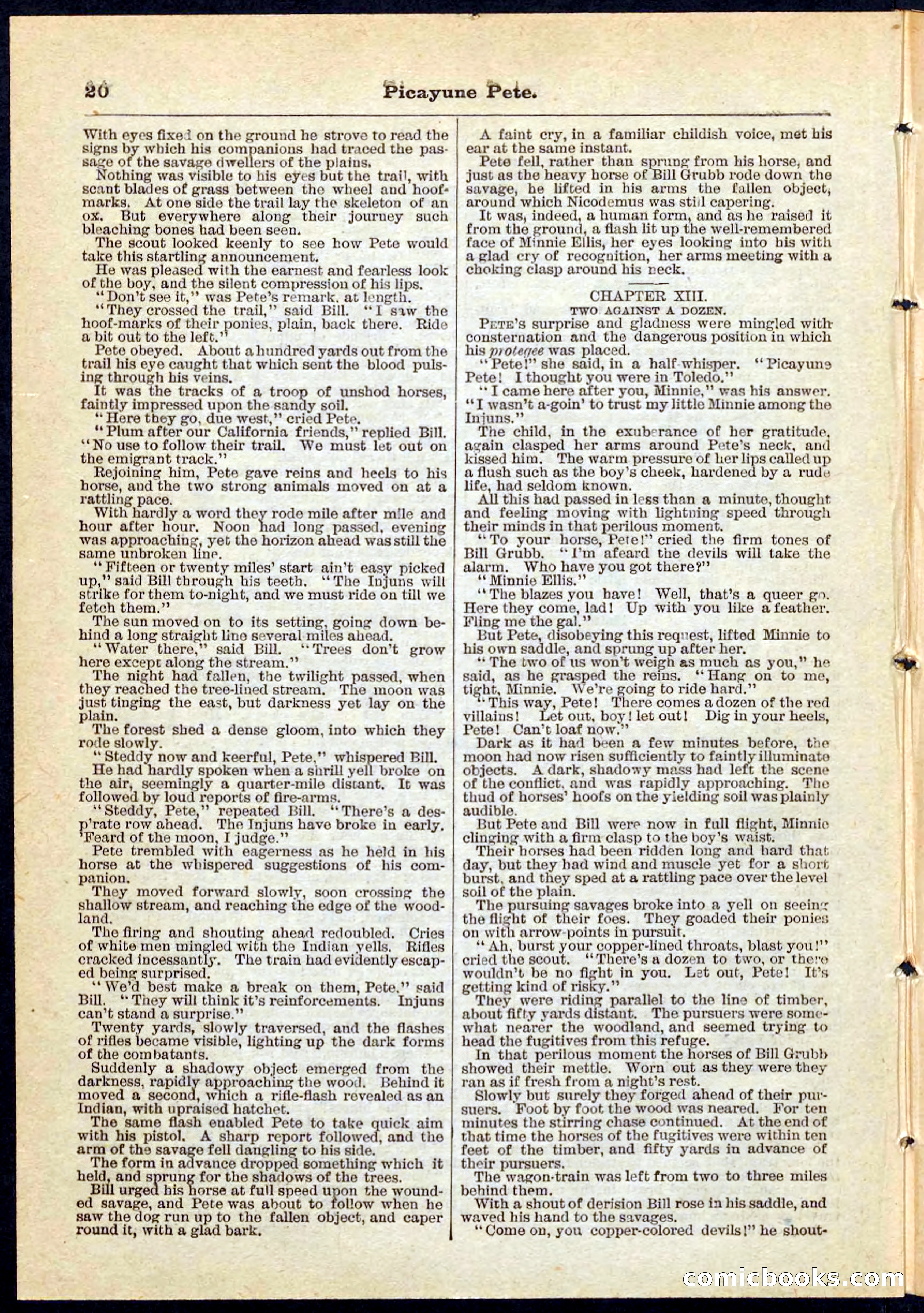 Beadle's Pocket Library No. 74 — page 20 of 32