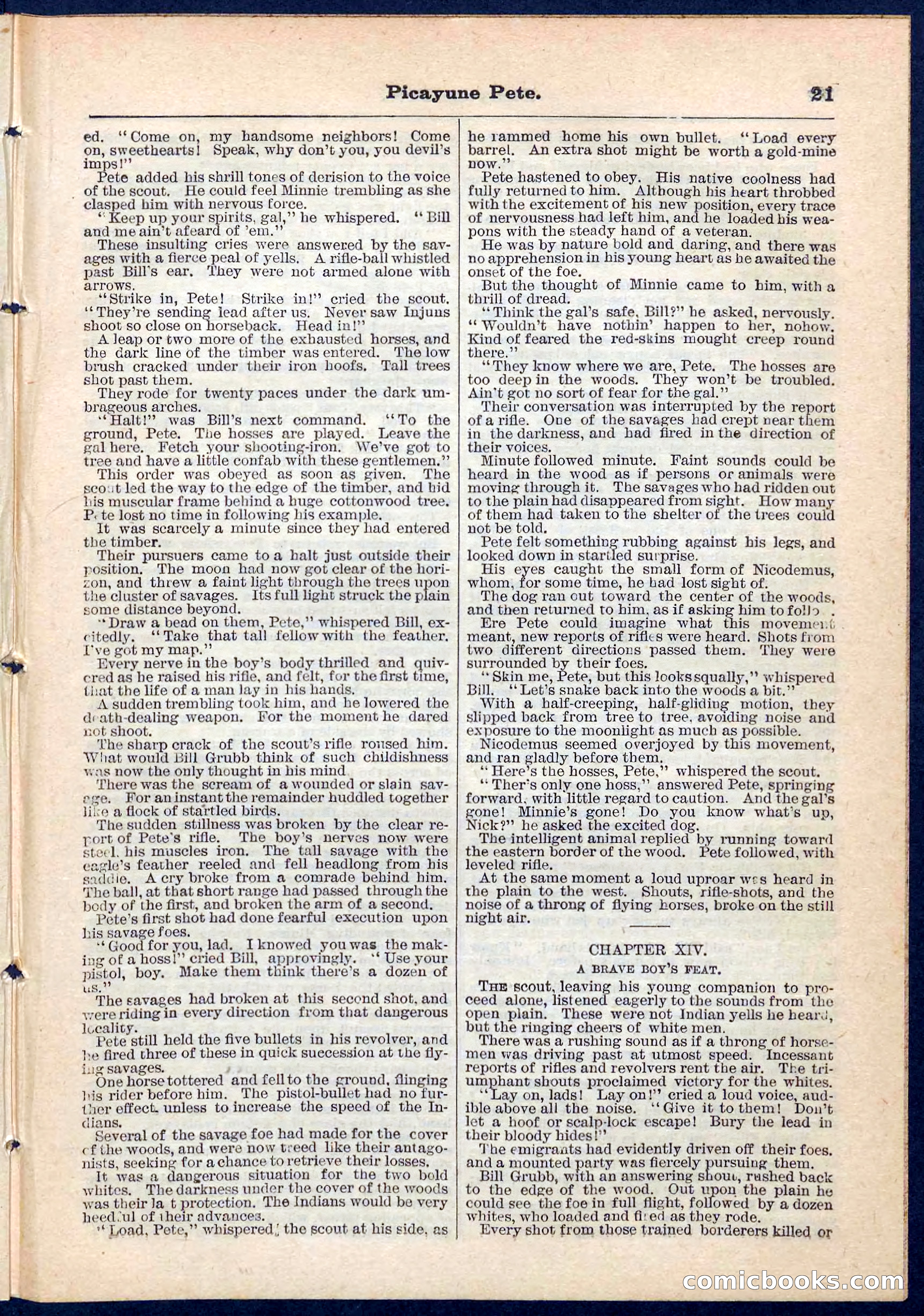 Beadle's Pocket Library No. 74 — page 21 of 32