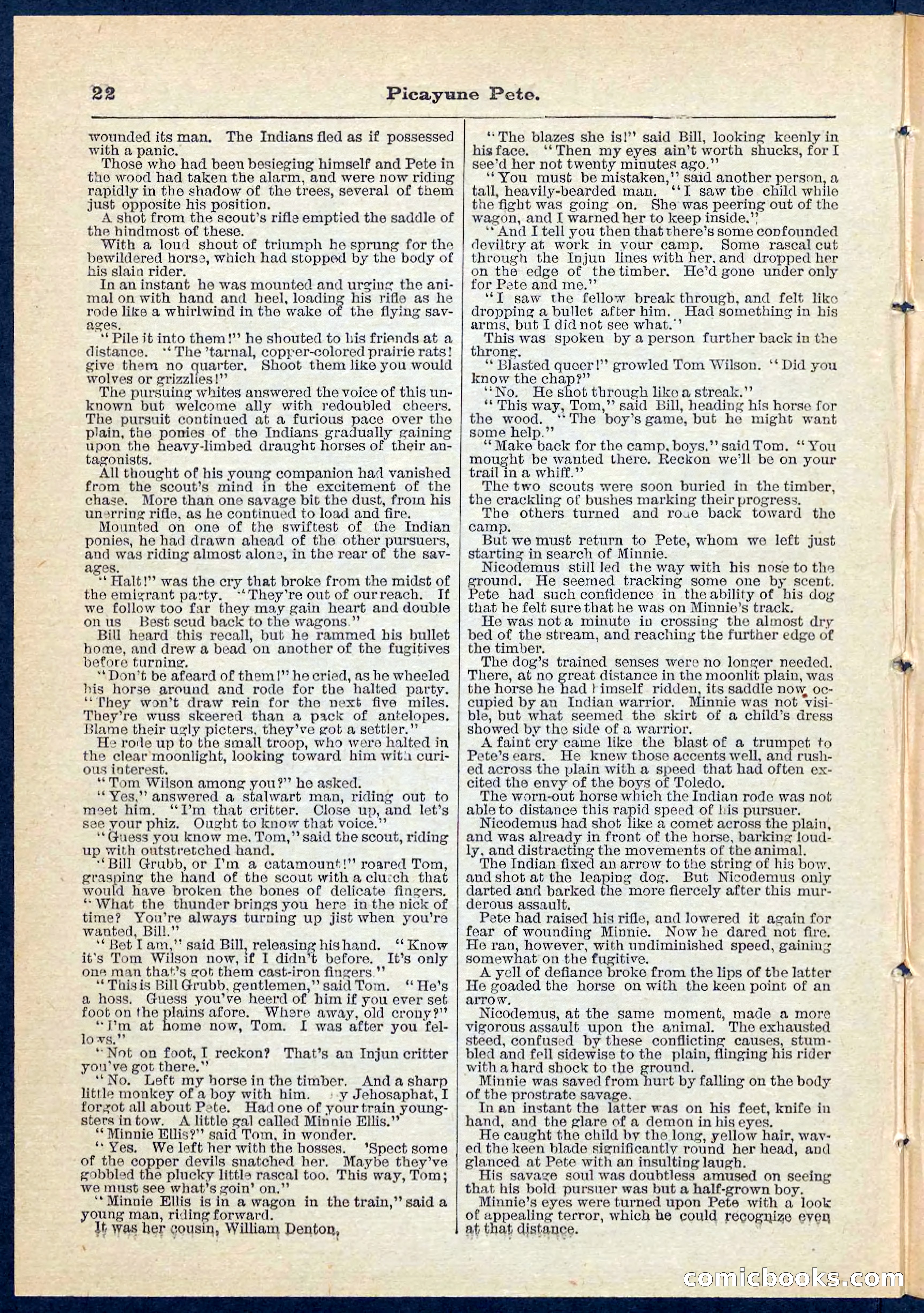Beadle's Pocket Library No. 74 — page 22 of 32