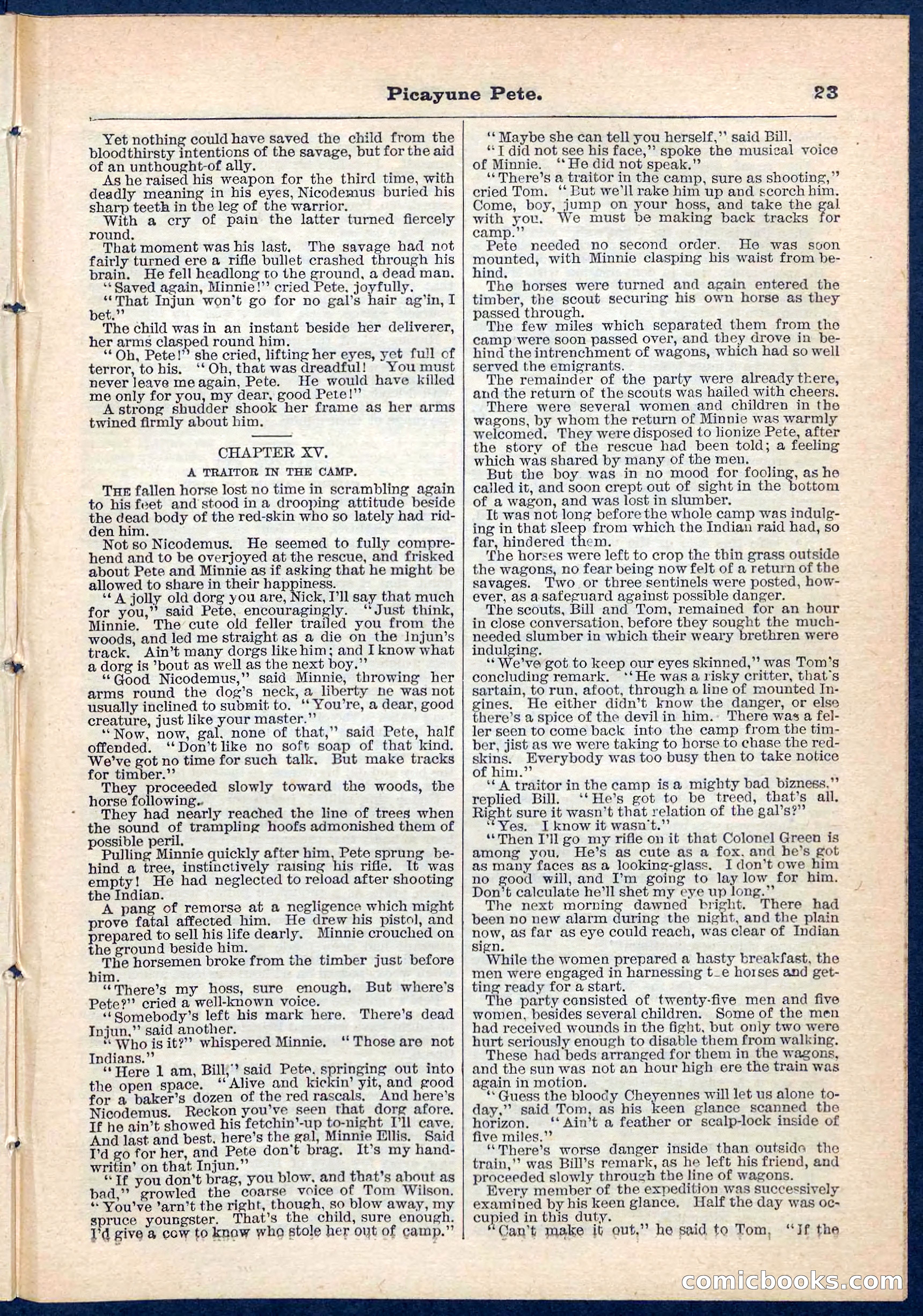 Beadle's Pocket Library No. 74 — page 23 of 32