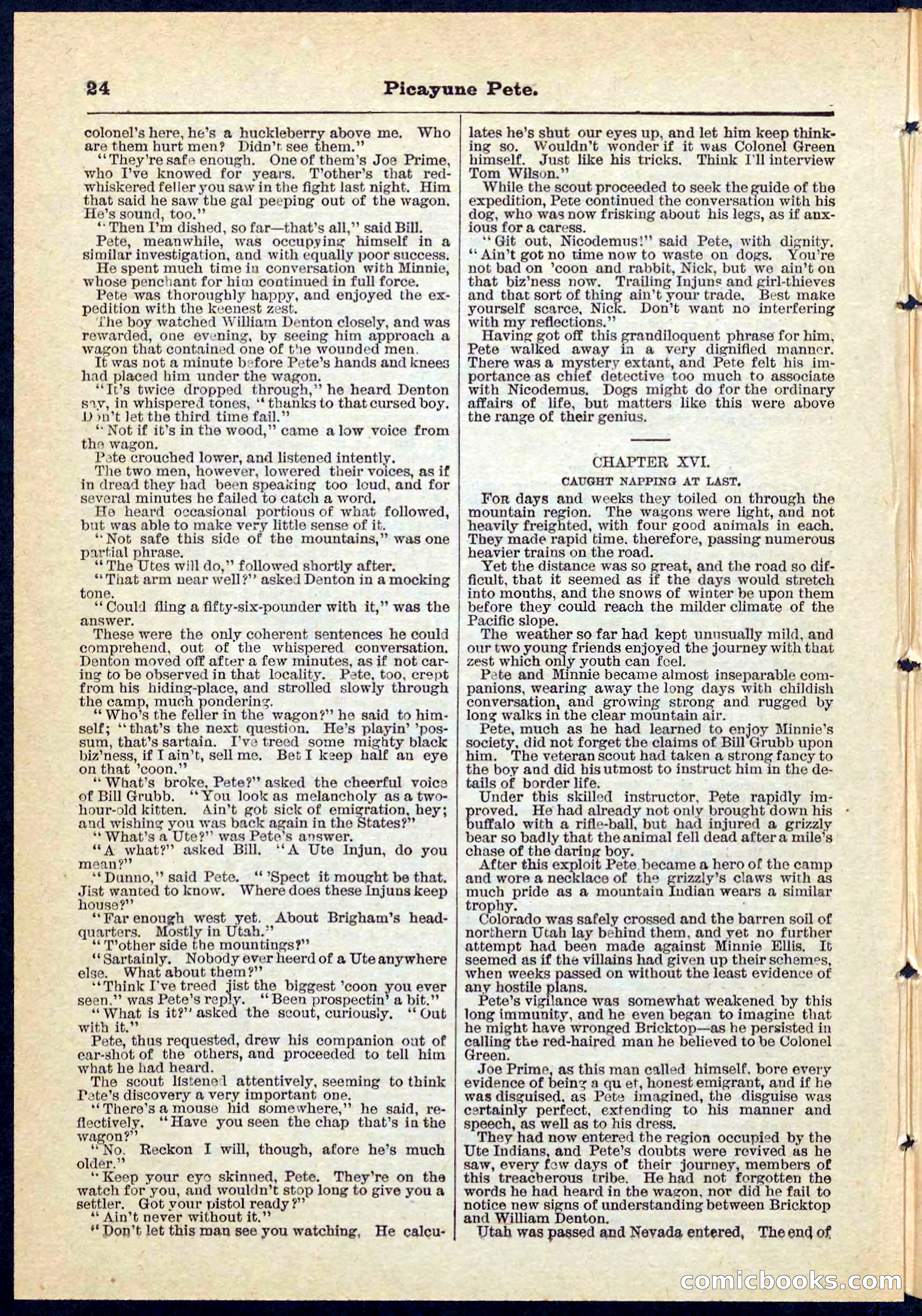 Beadle's Pocket Library No. 74 — page 24 of 32