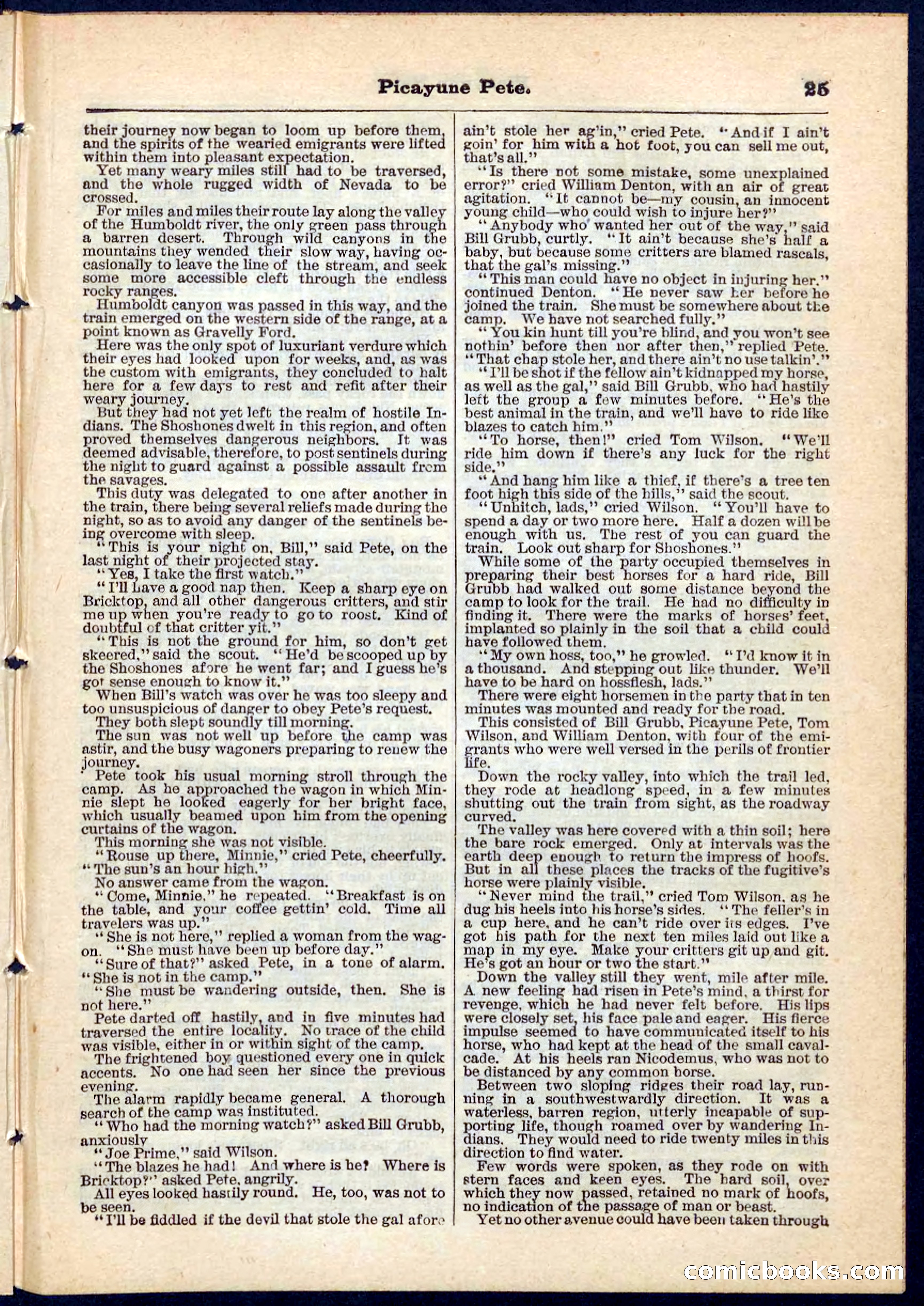 Beadle's Pocket Library No. 74 — page 25 of 32