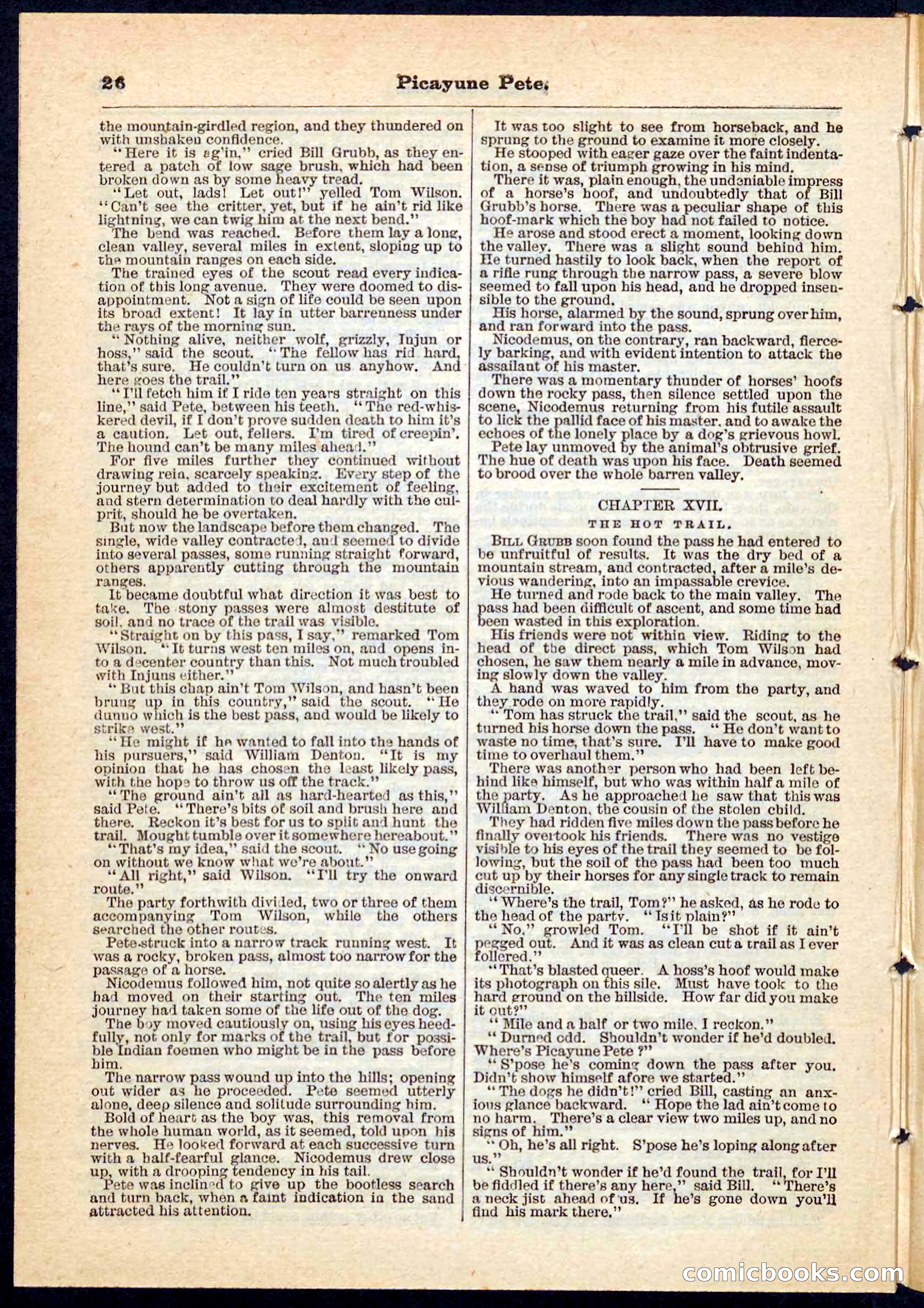 Beadle's Pocket Library No. 74 — page 26 of 32