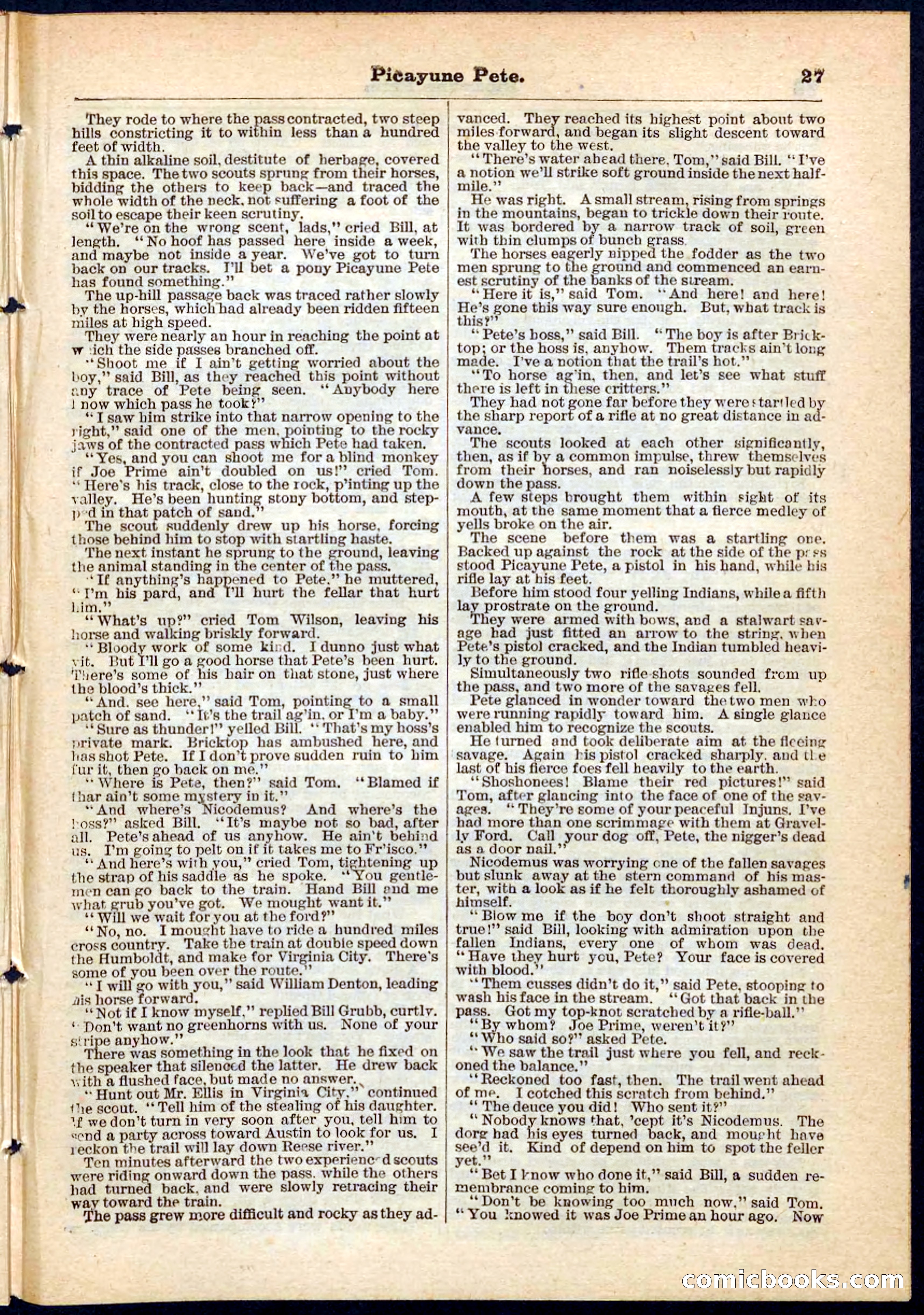 Beadle's Pocket Library No. 74 — page 27 of 32