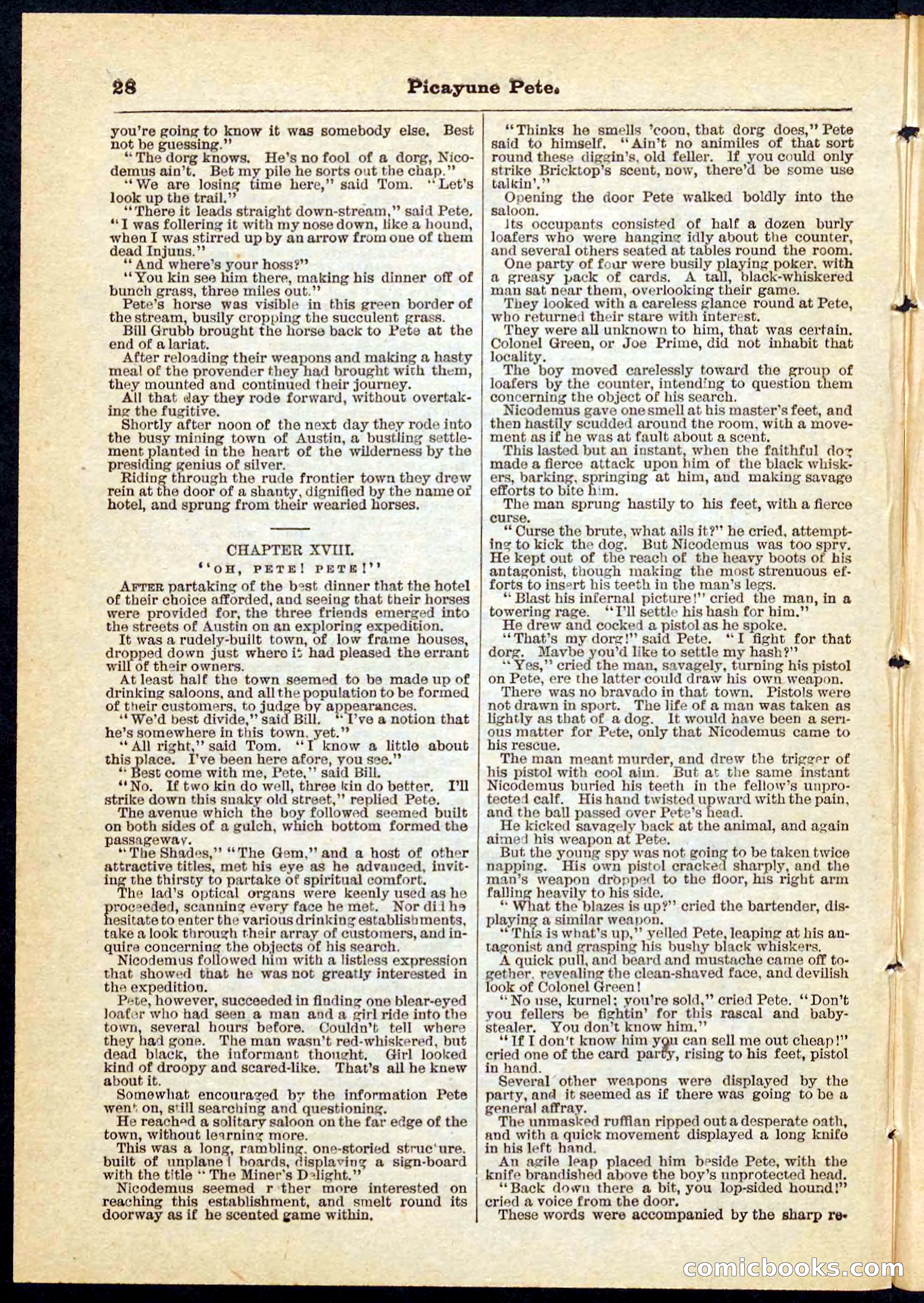 Beadle's Pocket Library No. 74 — page 28 of 32