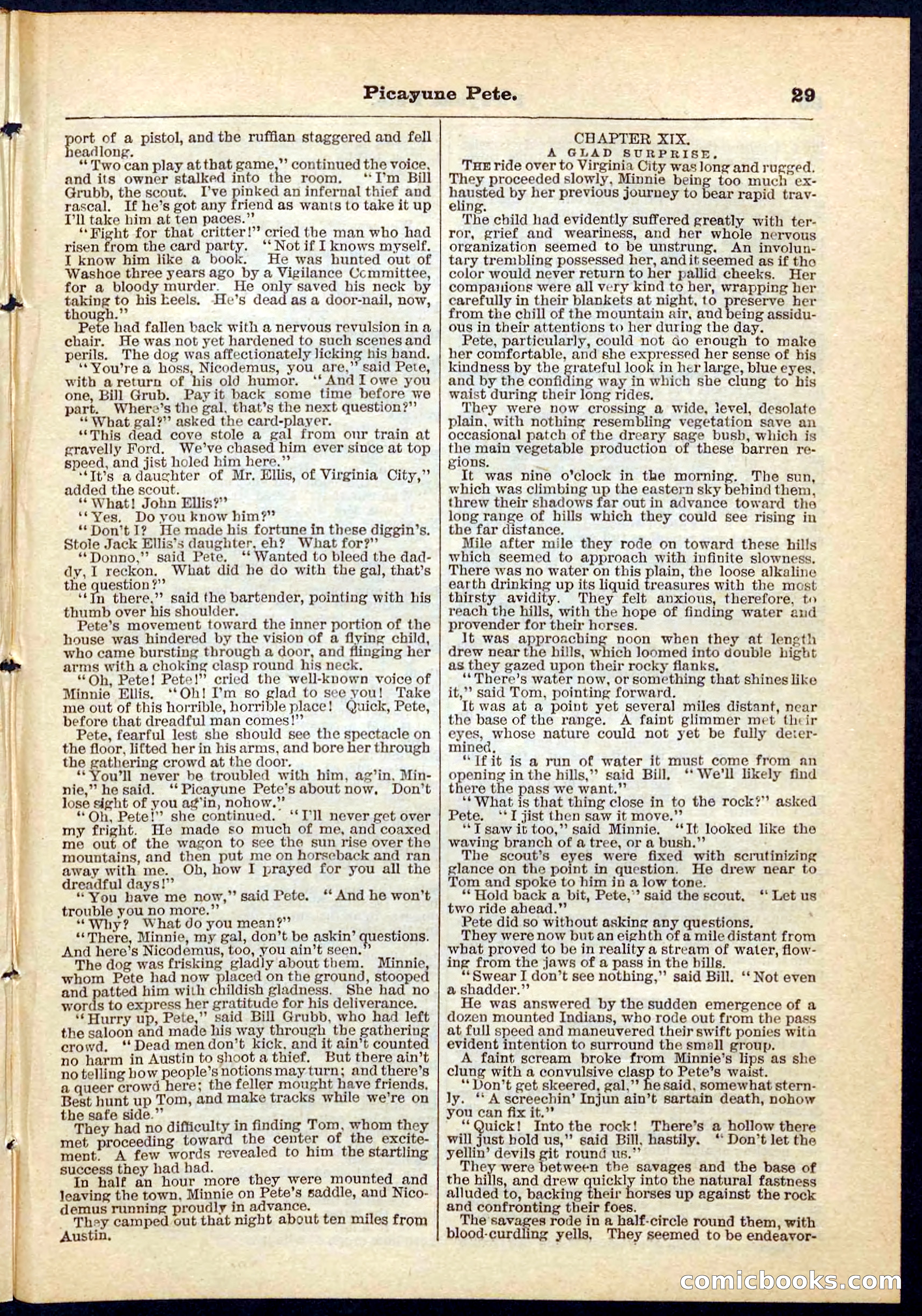 Beadle's Pocket Library No. 74 — page 29 of 32