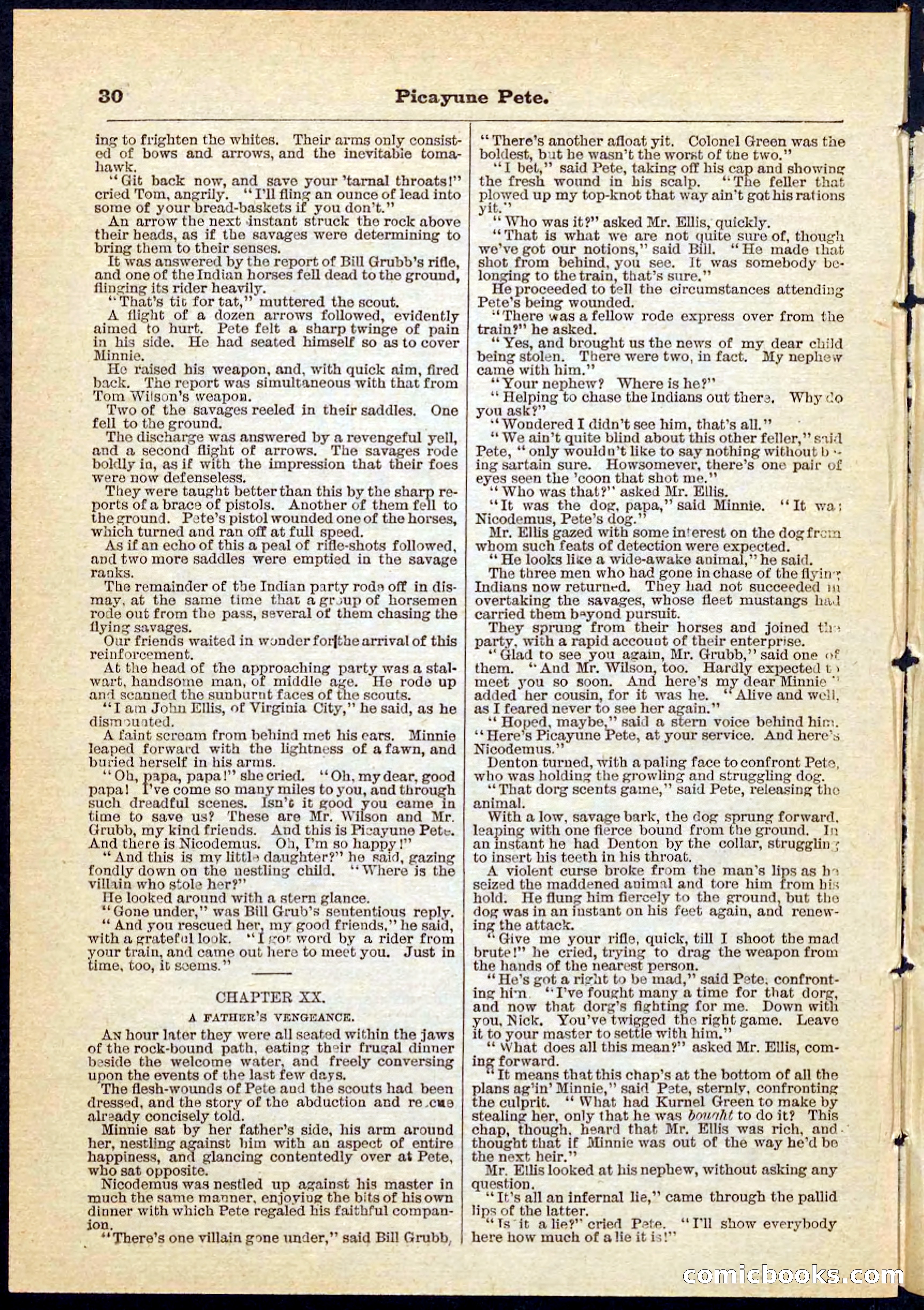 Beadle's Pocket Library No. 74 — page 30 of 32