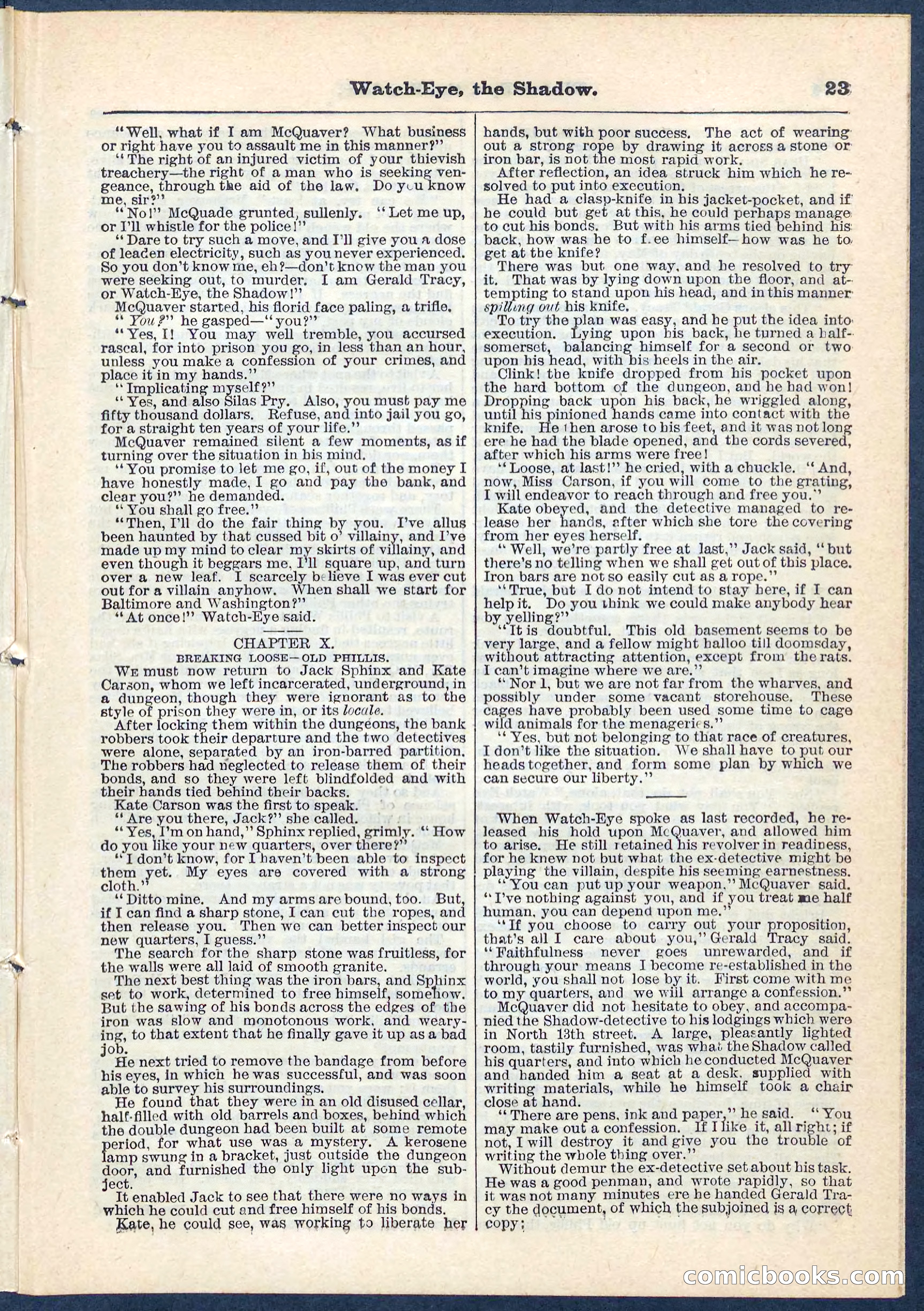 Beadle's Pocket Library No. 76 — page 23 of 32