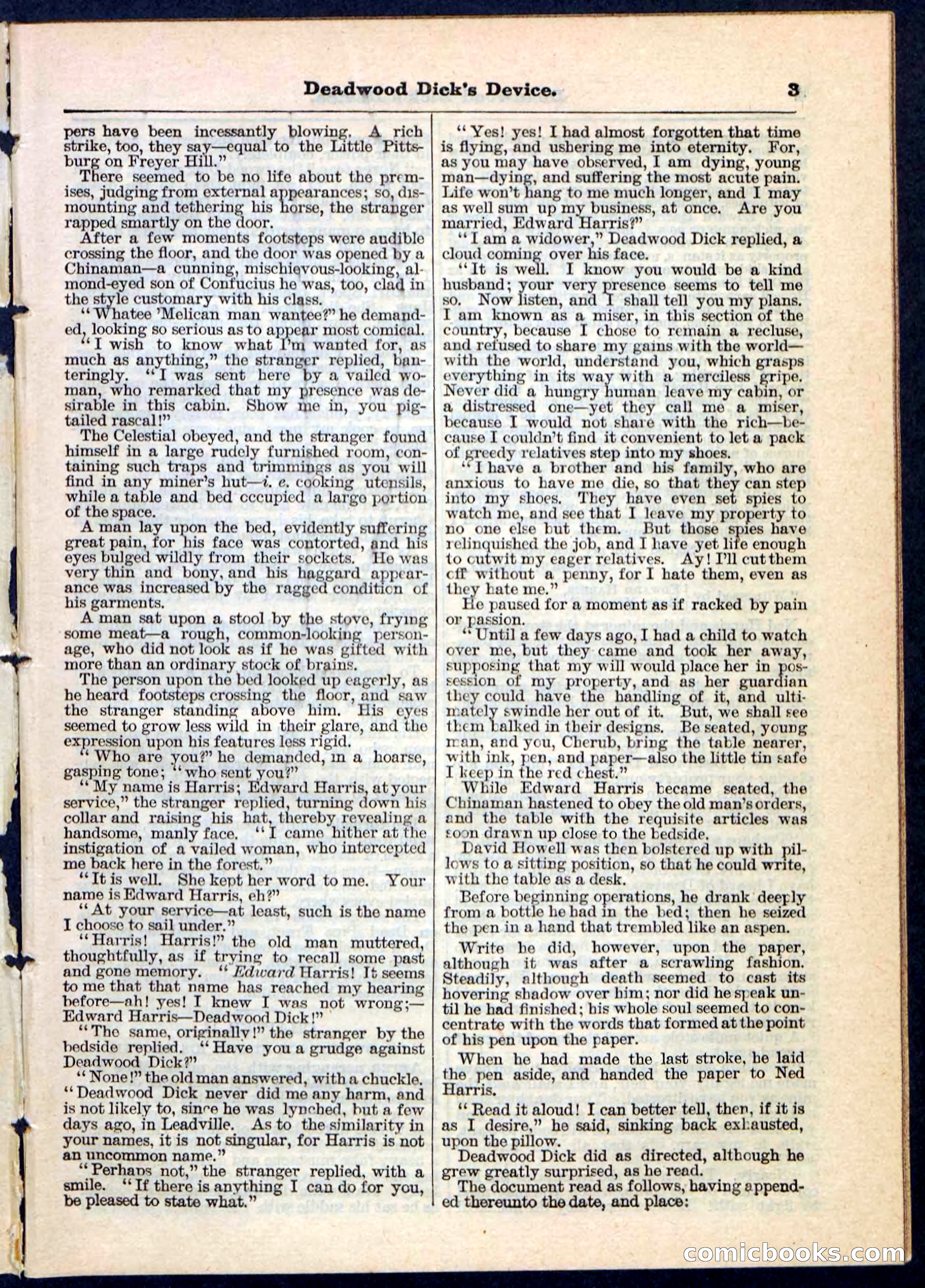 Beadle's Pocket Library No. 78 — page 3 of 32