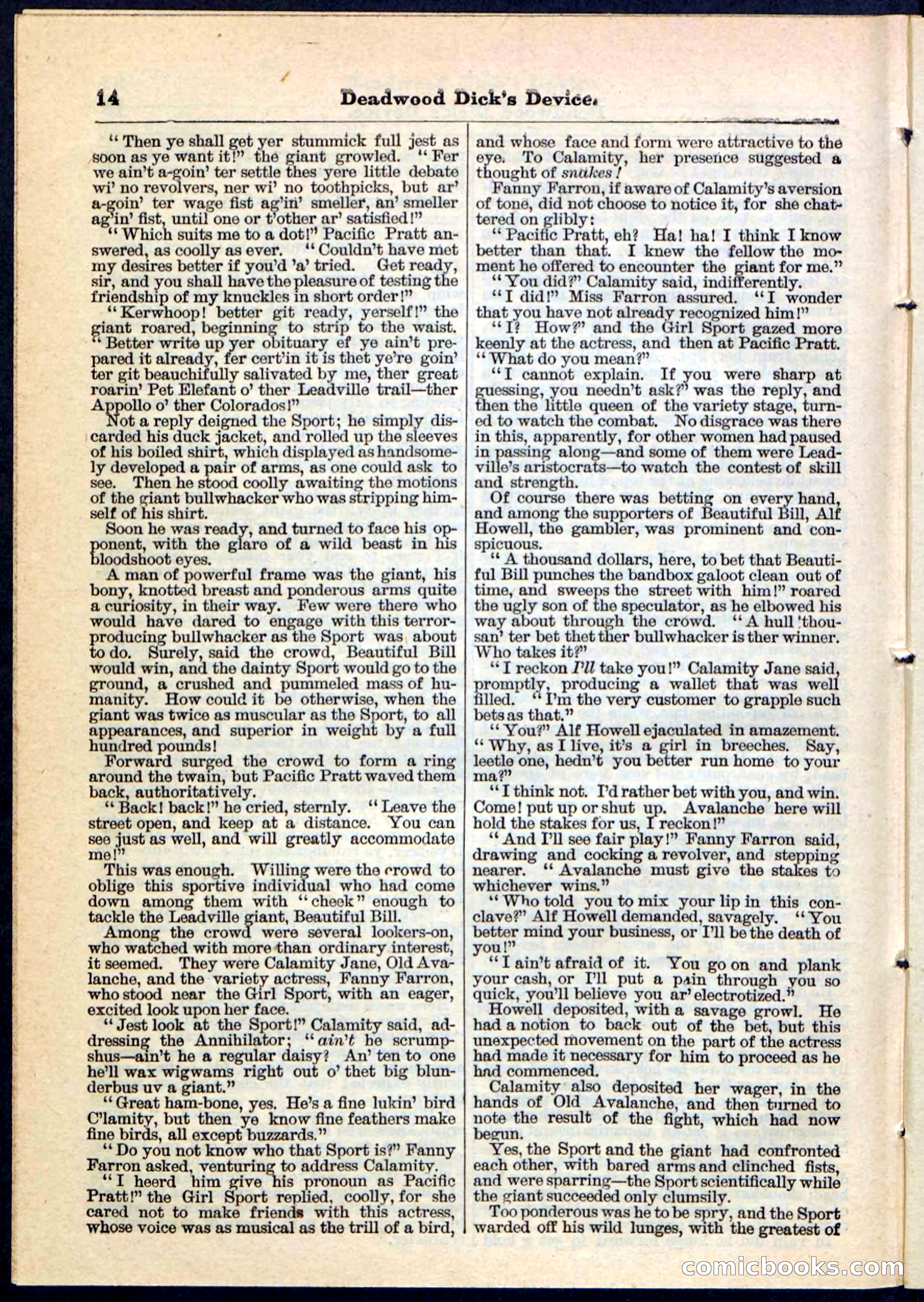 Beadle's Pocket Library No. 78 — page 14 of 32