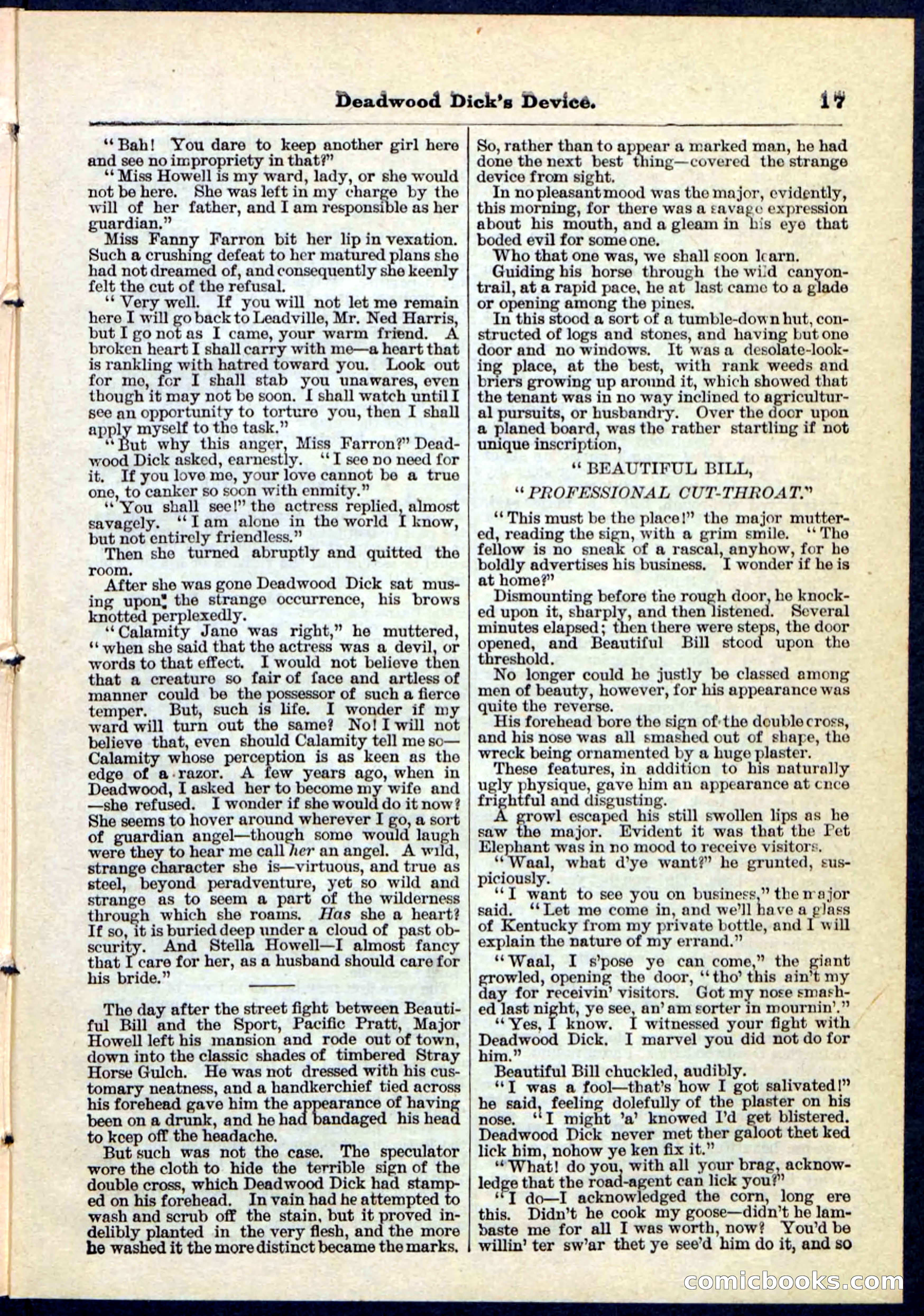 Beadle's Pocket Library No. 78 — page 17 of 32