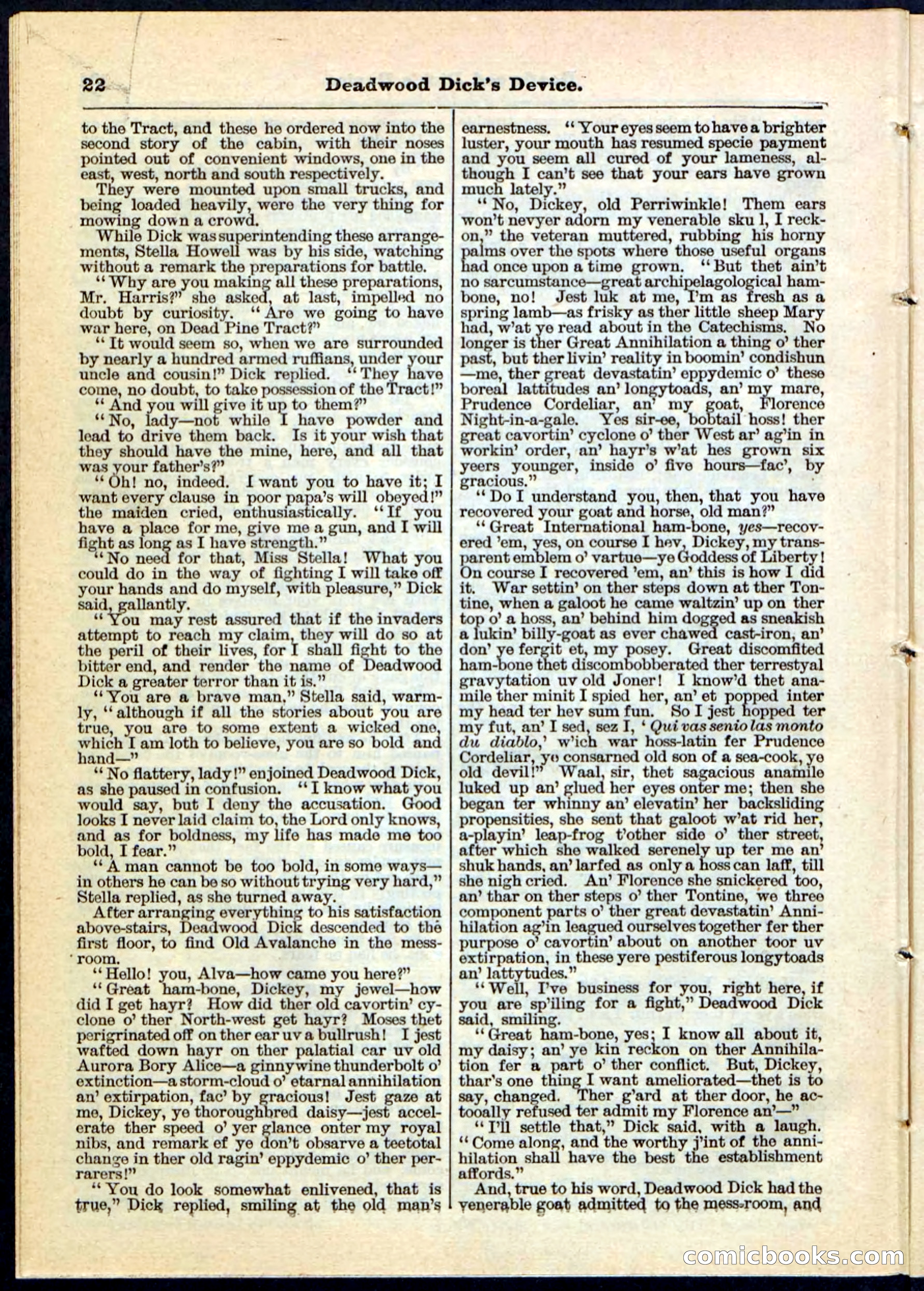 Beadle's Pocket Library No. 78 — page 22 of 32