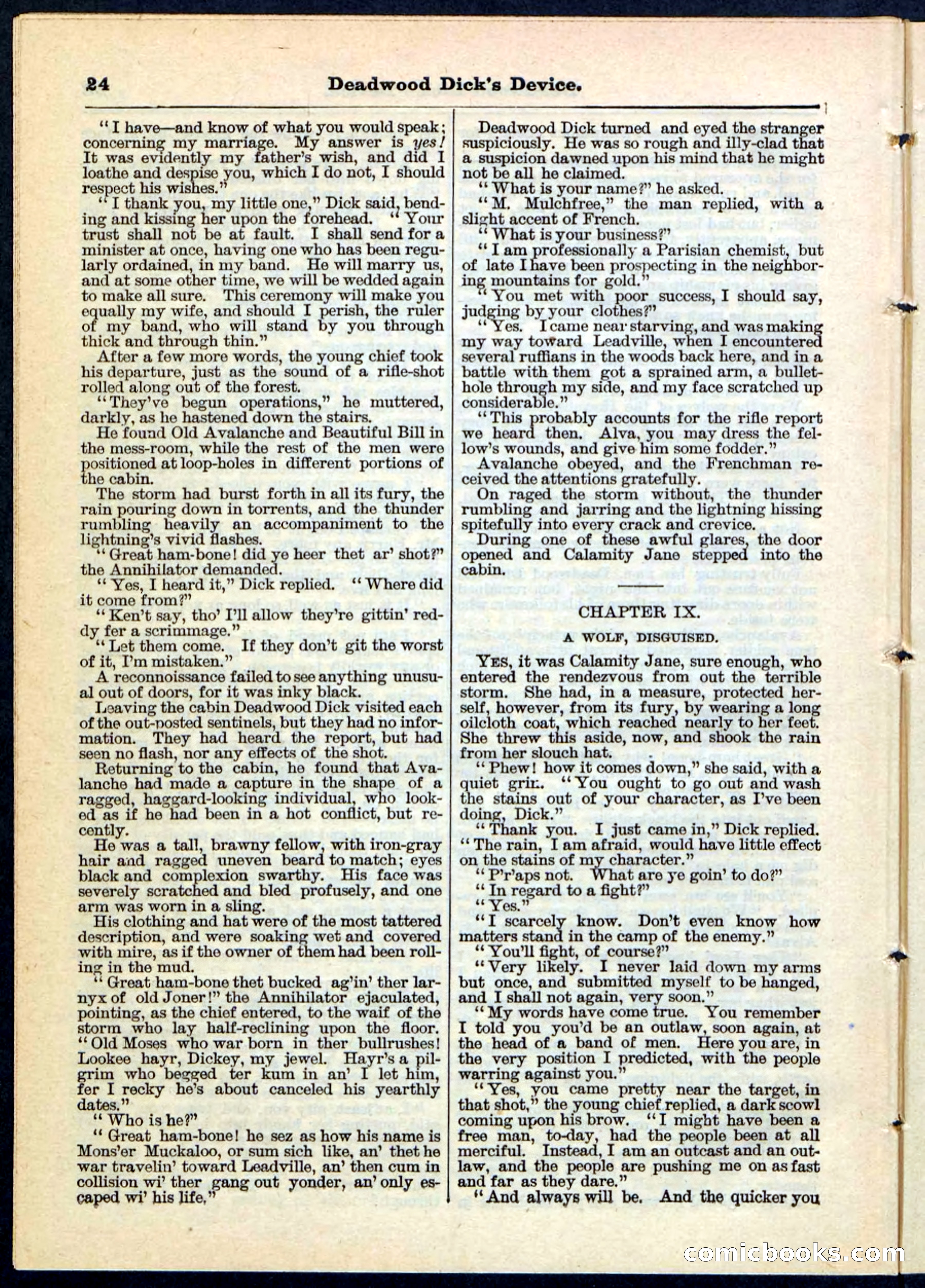 Beadle's Pocket Library No. 78 — page 24 of 32