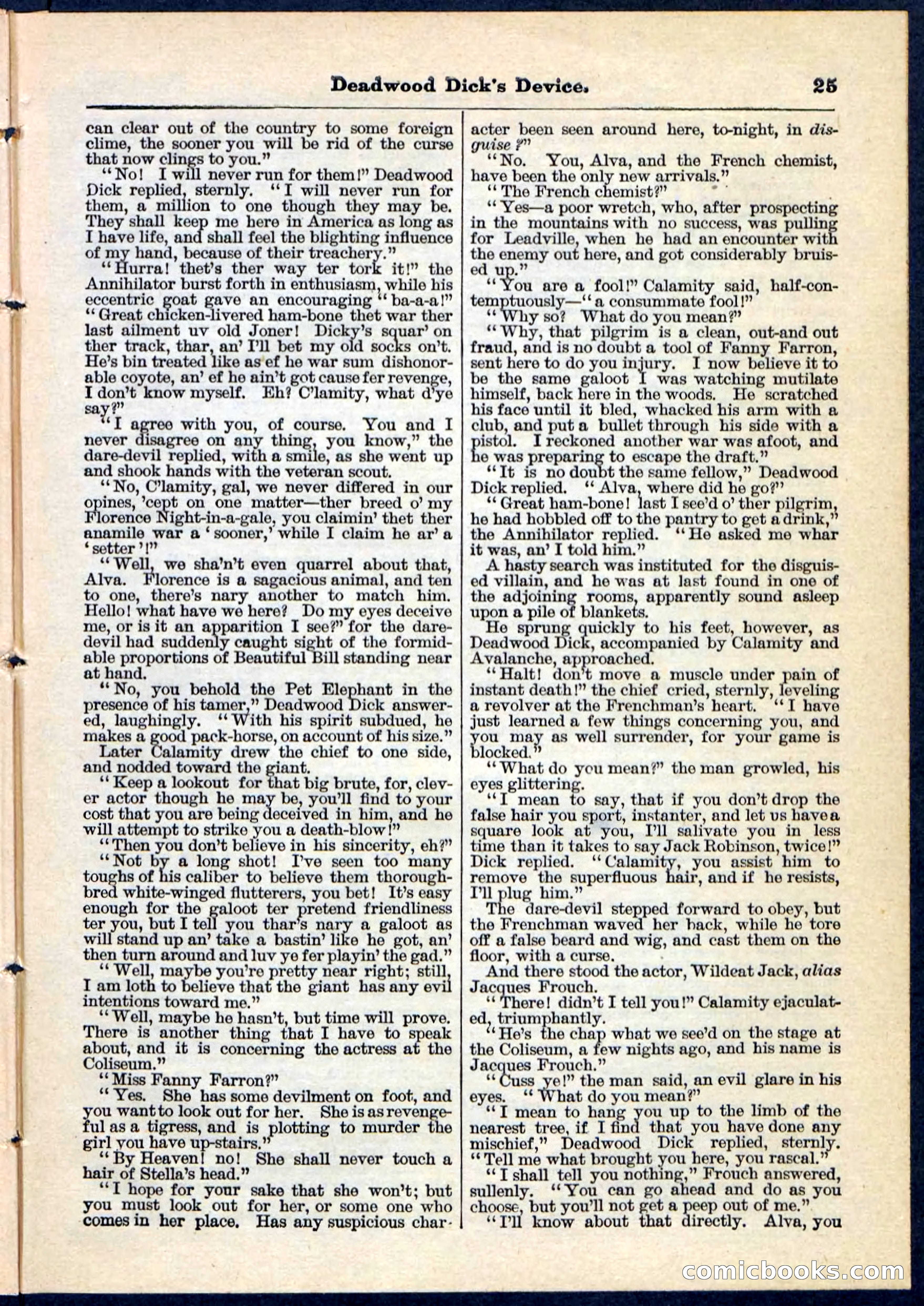 Beadle's Pocket Library No. 78 — page 25 of 32