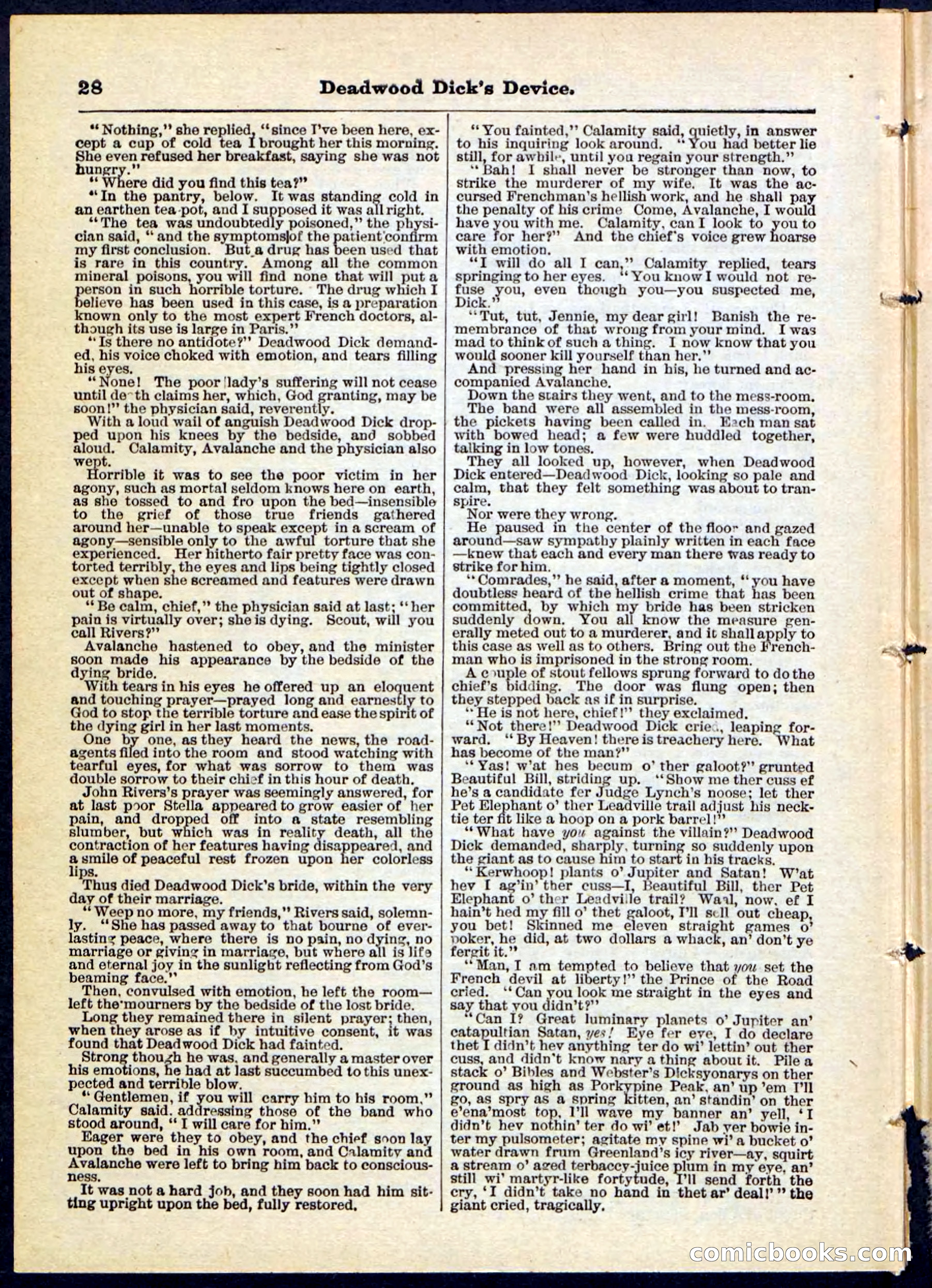 Beadle's Pocket Library No. 78 — page 28 of 32