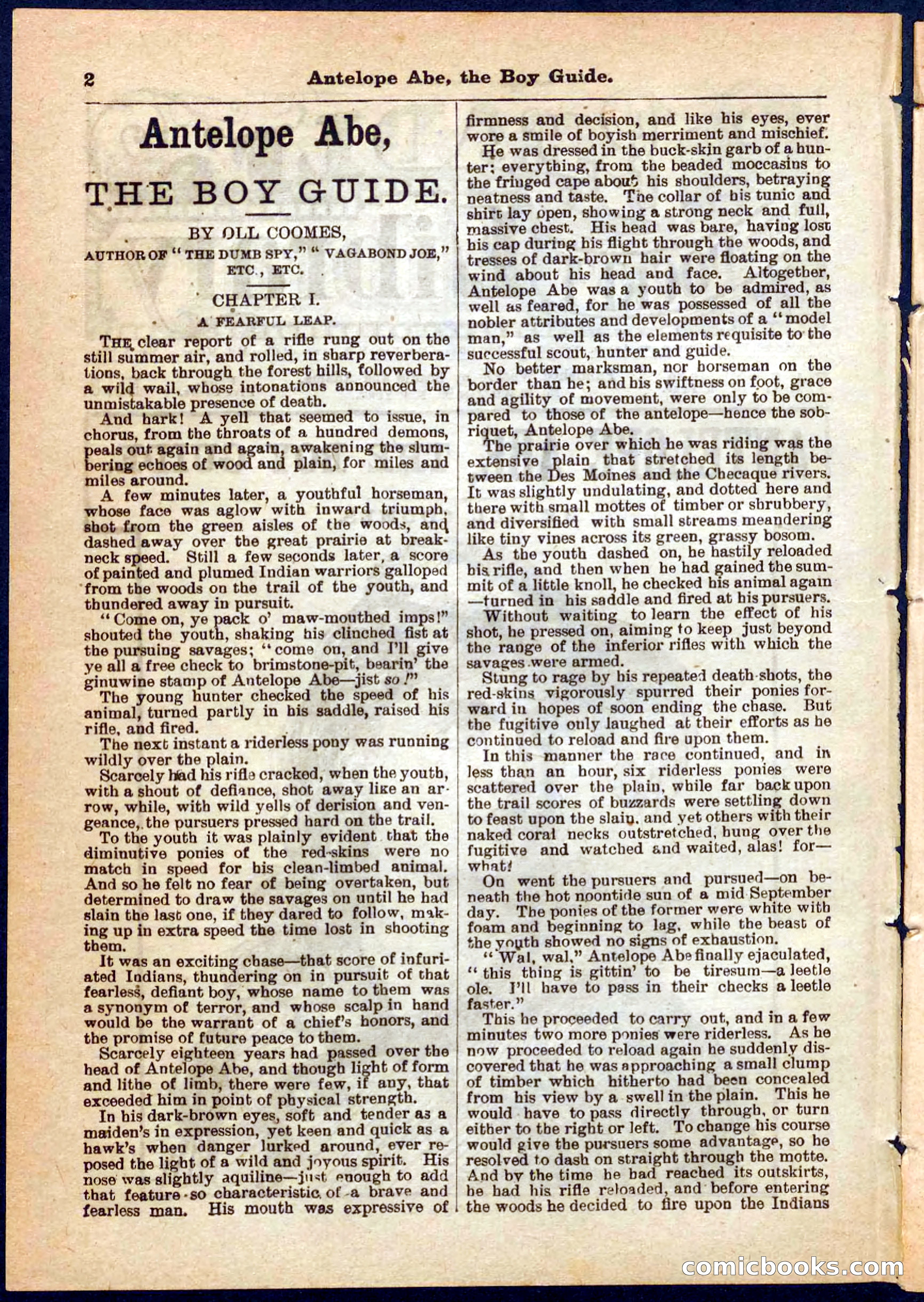 Beadle's Pocket Library No. 8 — page 2 of 32