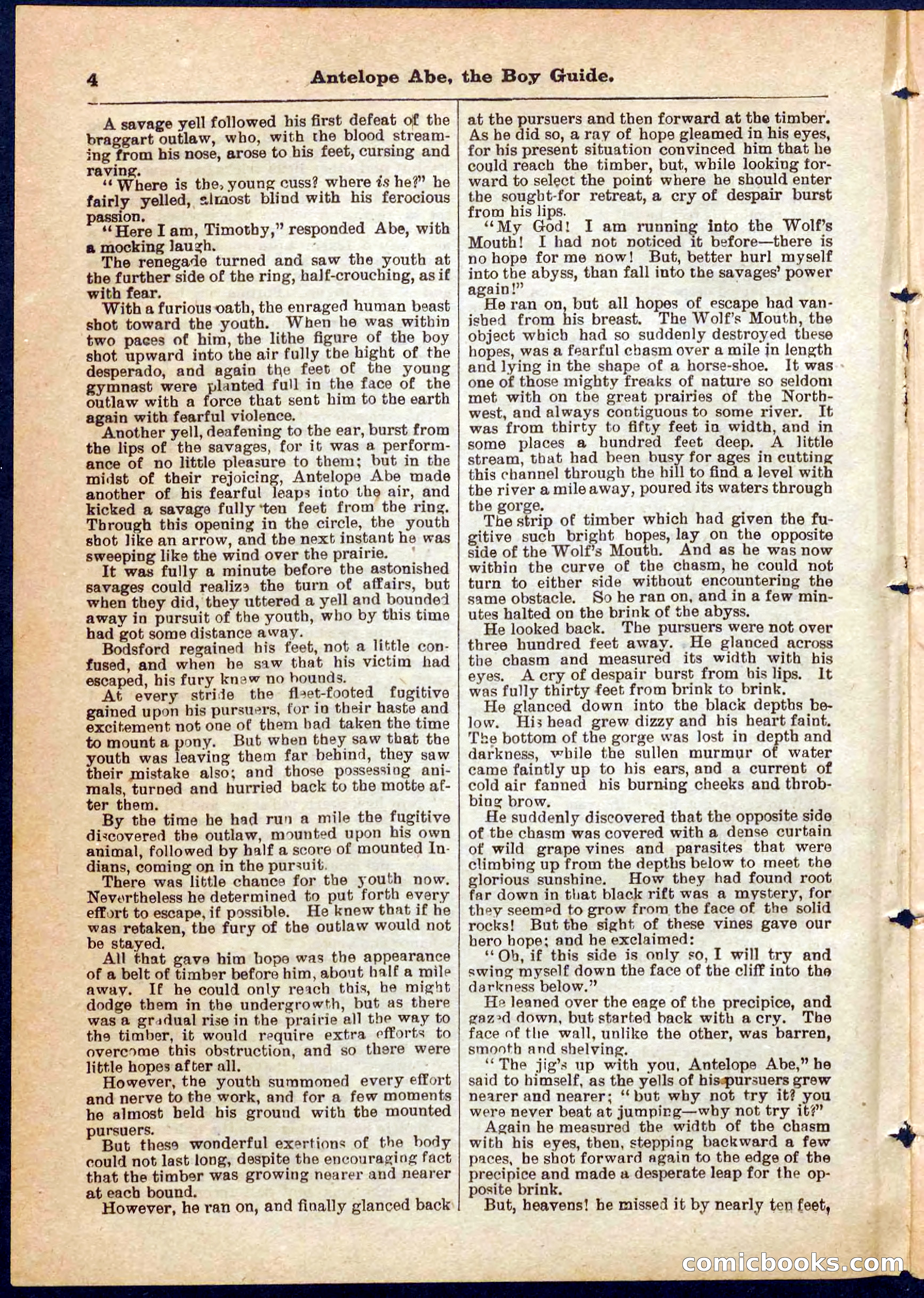 Beadle's Pocket Library No. 8 — page 4 of 32