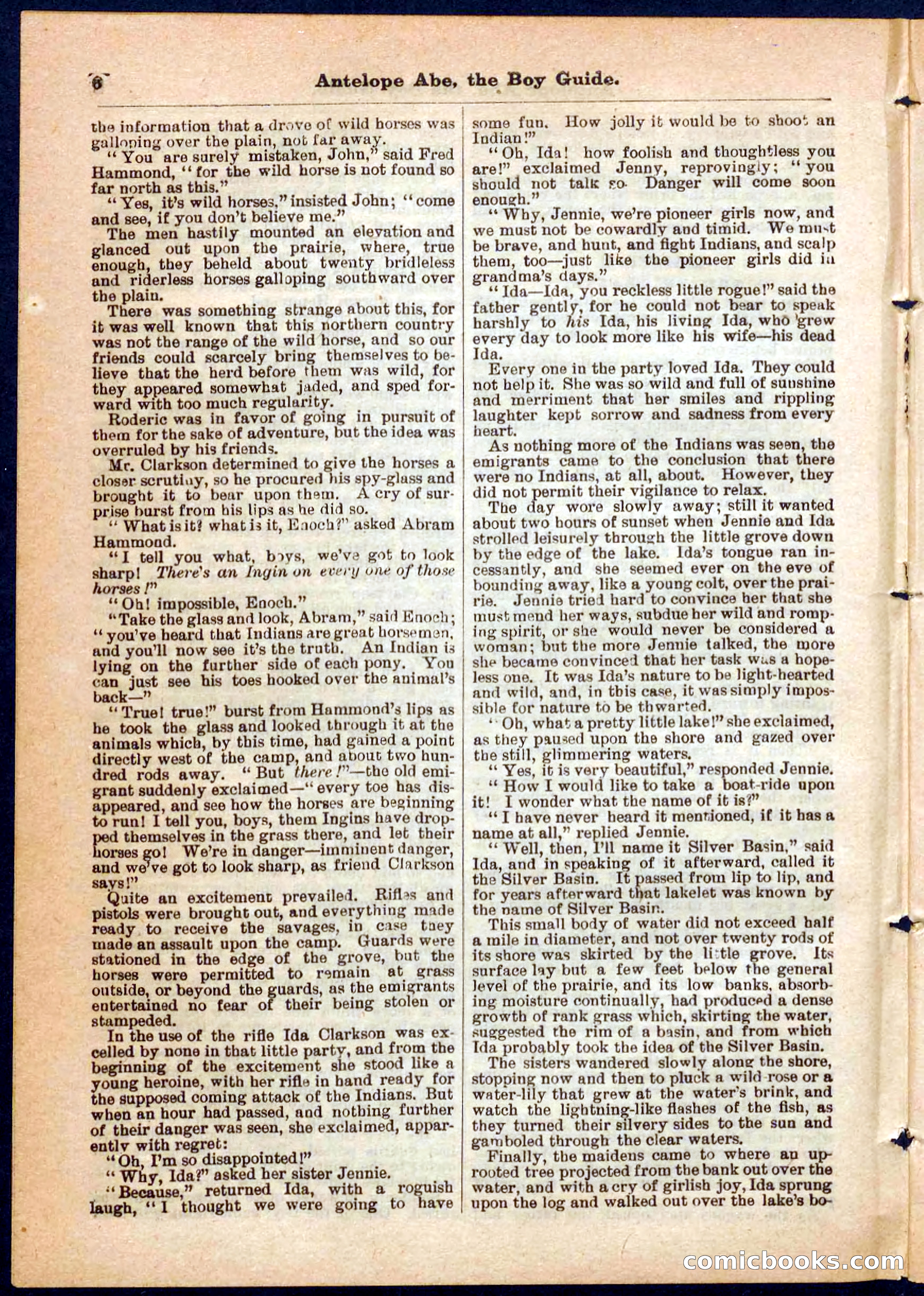 Beadle's Pocket Library No. 8 — page 6 of 32