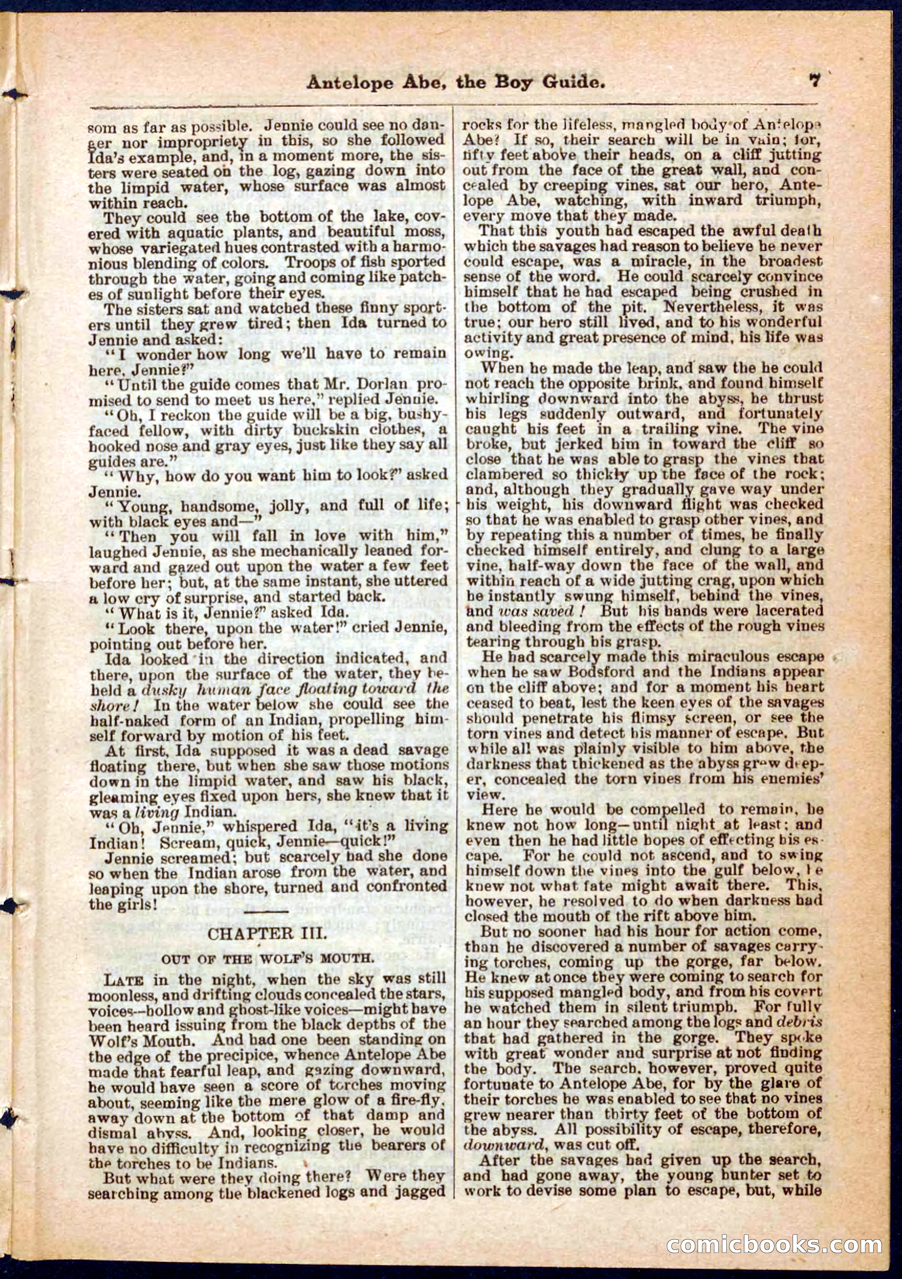 Beadle's Pocket Library No. 8 — page 7 of 32