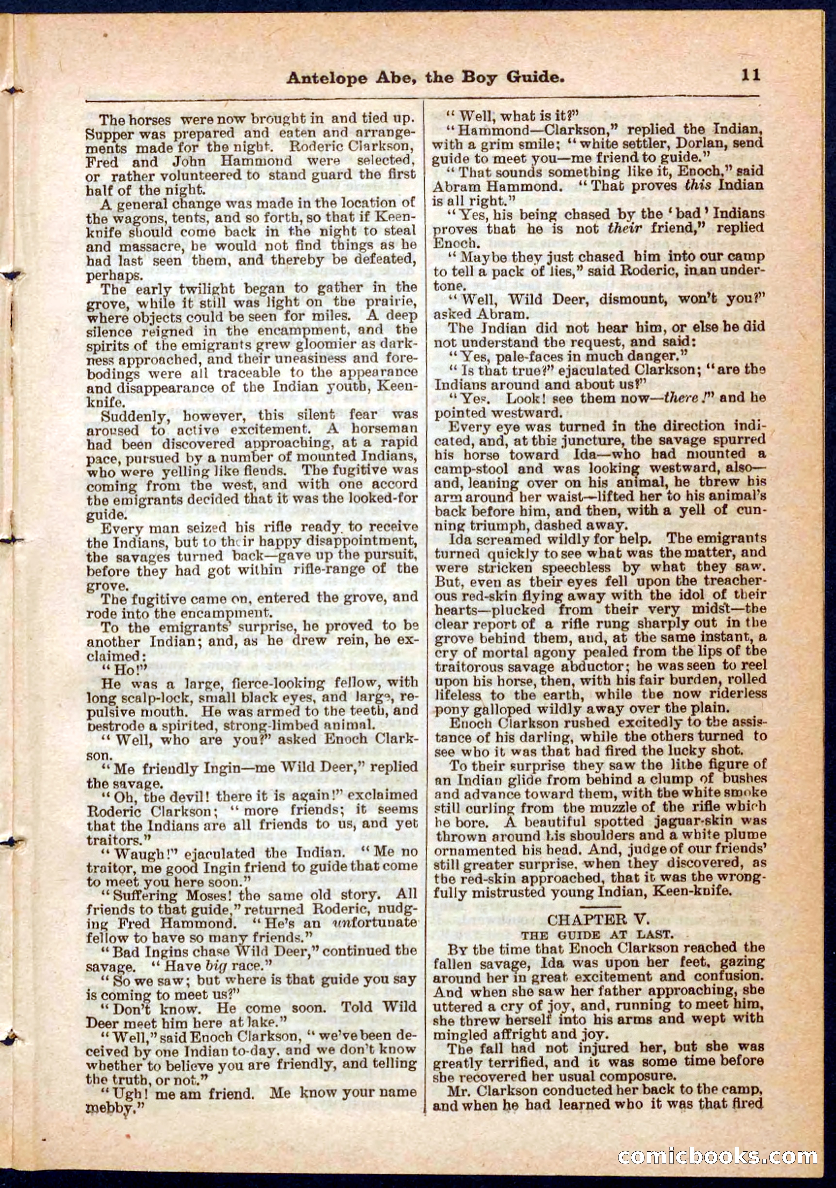 Beadle's Pocket Library No. 8 — page 11 of 32
