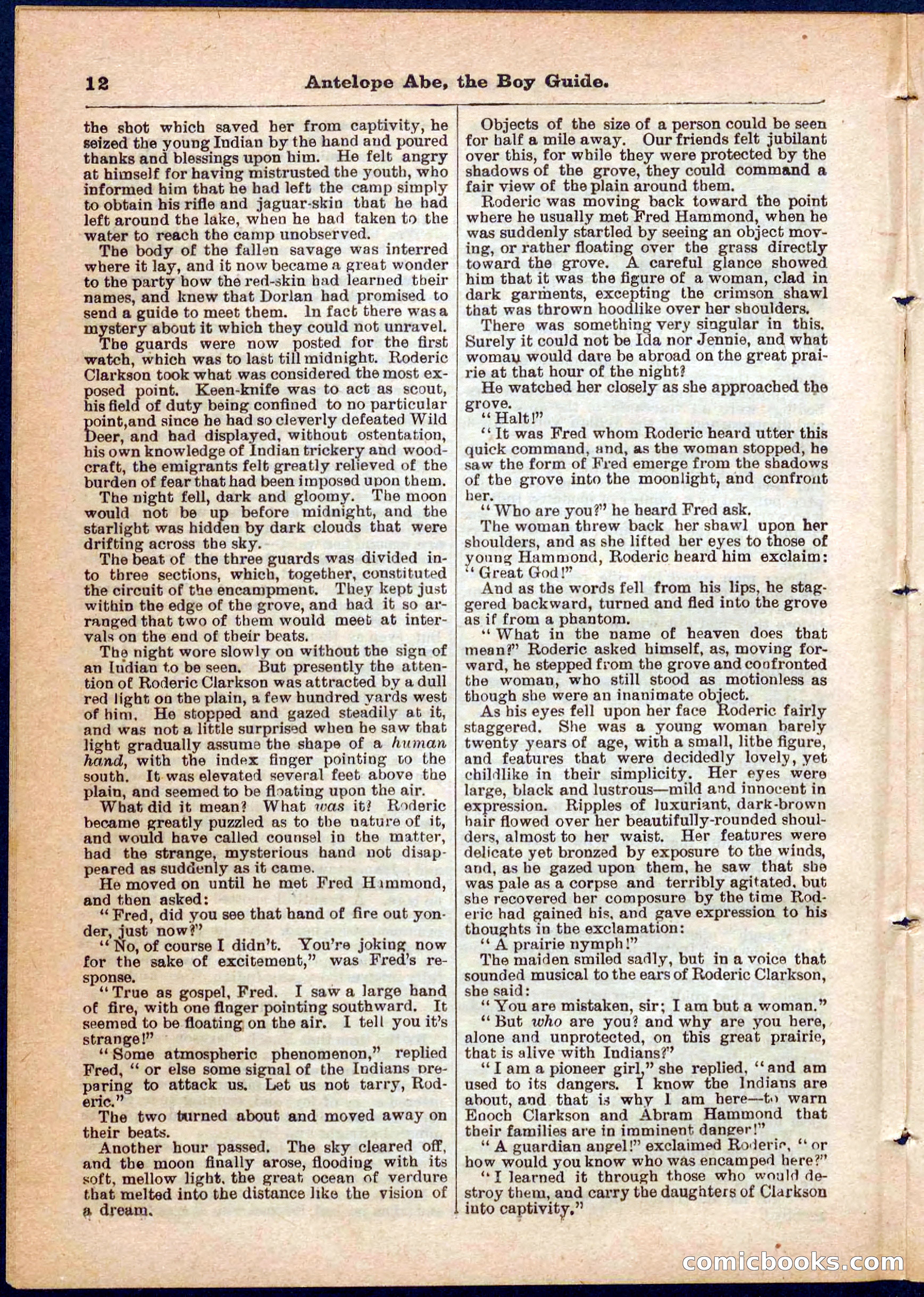 Beadle's Pocket Library No. 8 — page 12 of 32