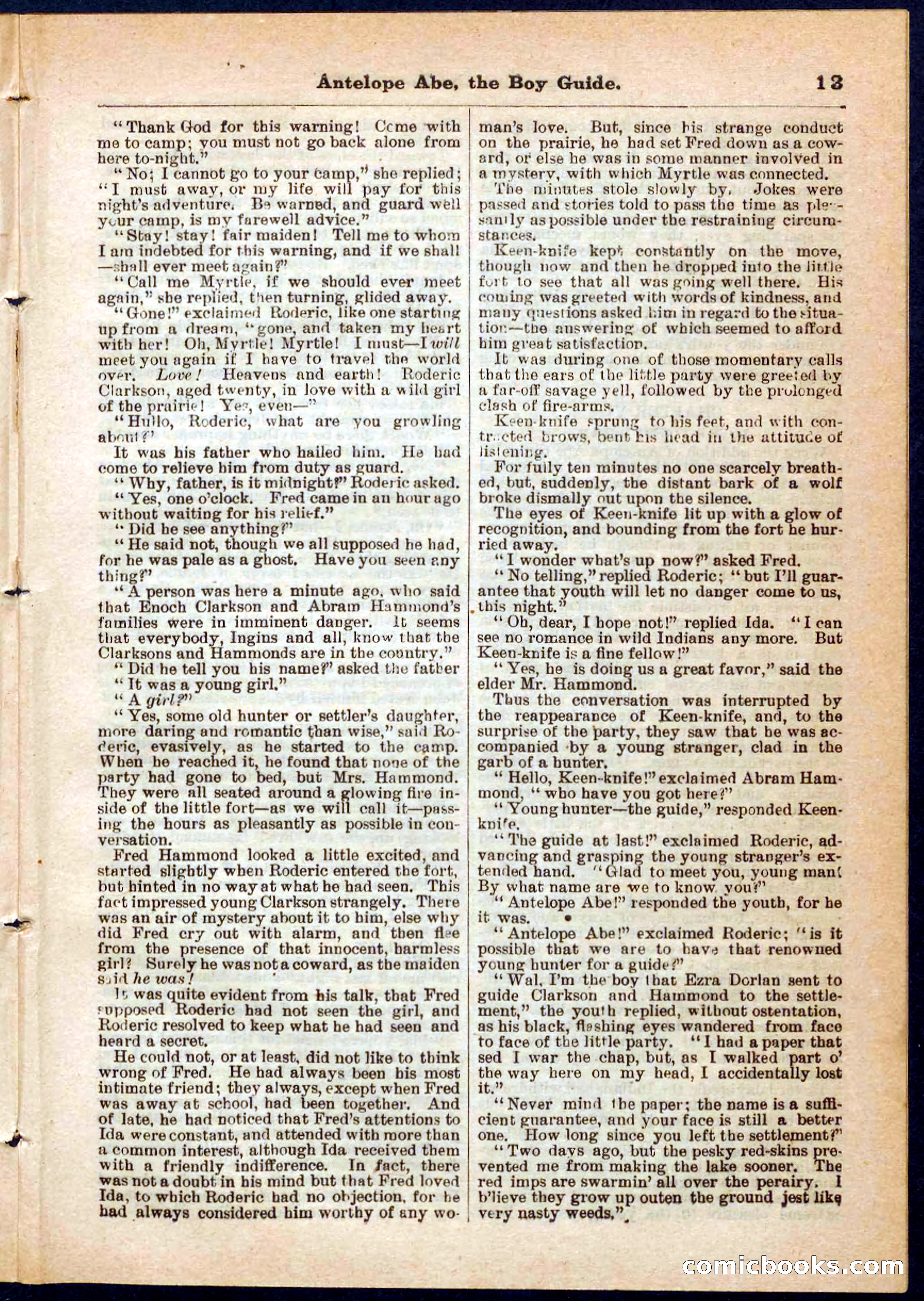 Beadle's Pocket Library No. 8 — page 13 of 32