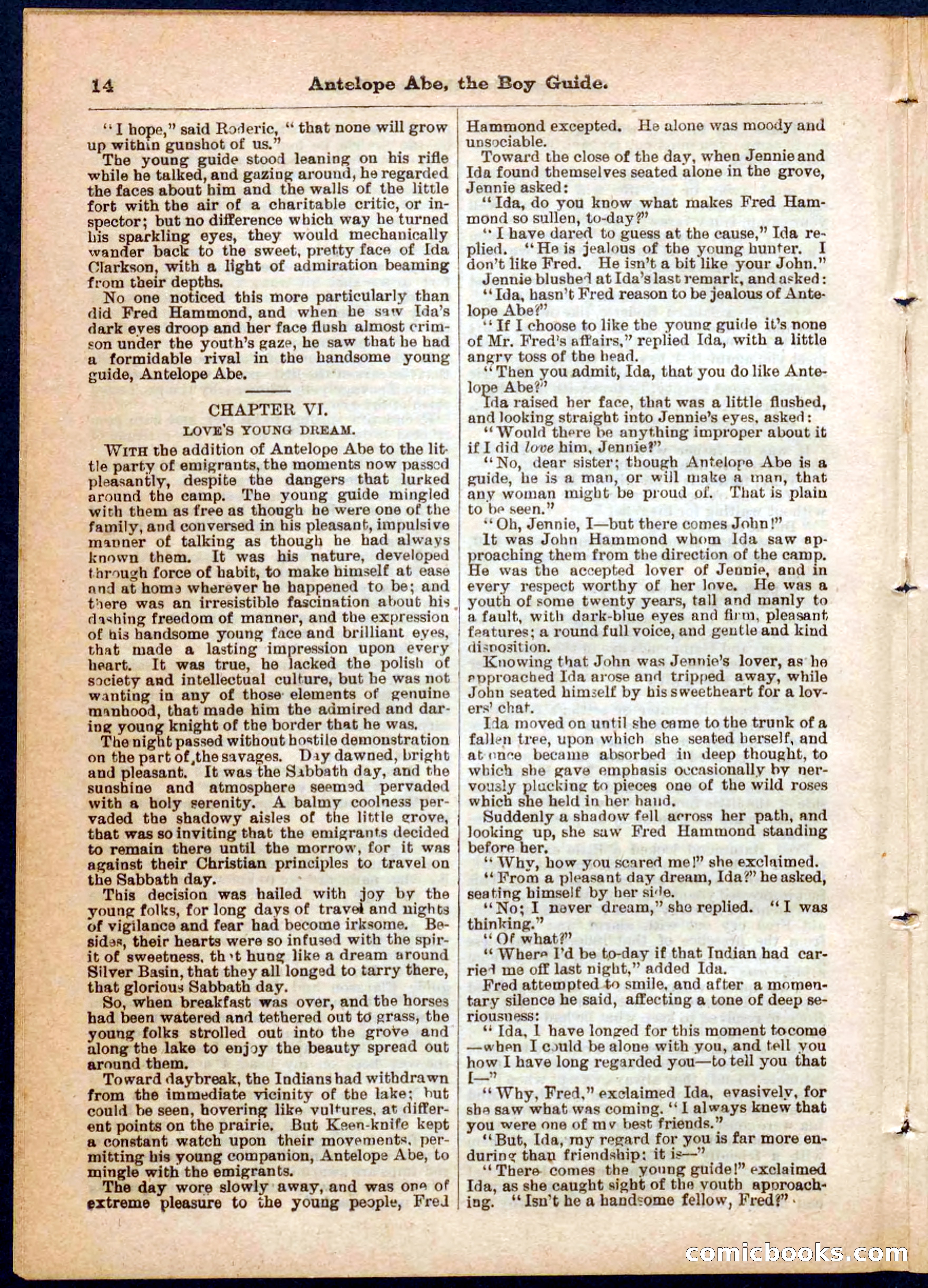 Beadle's Pocket Library No. 8 — page 14 of 32