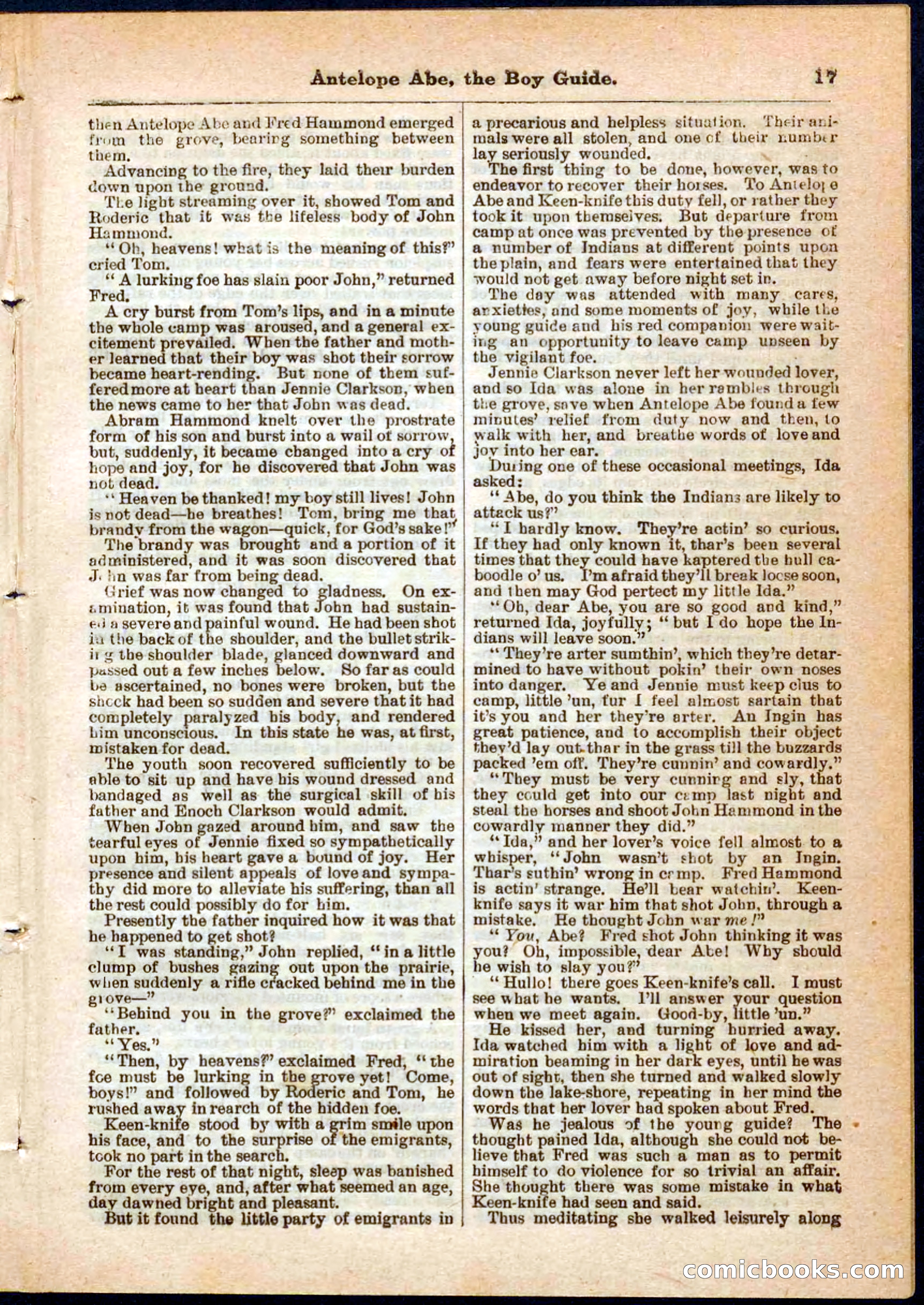 Beadle's Pocket Library No. 8 — page 17 of 32