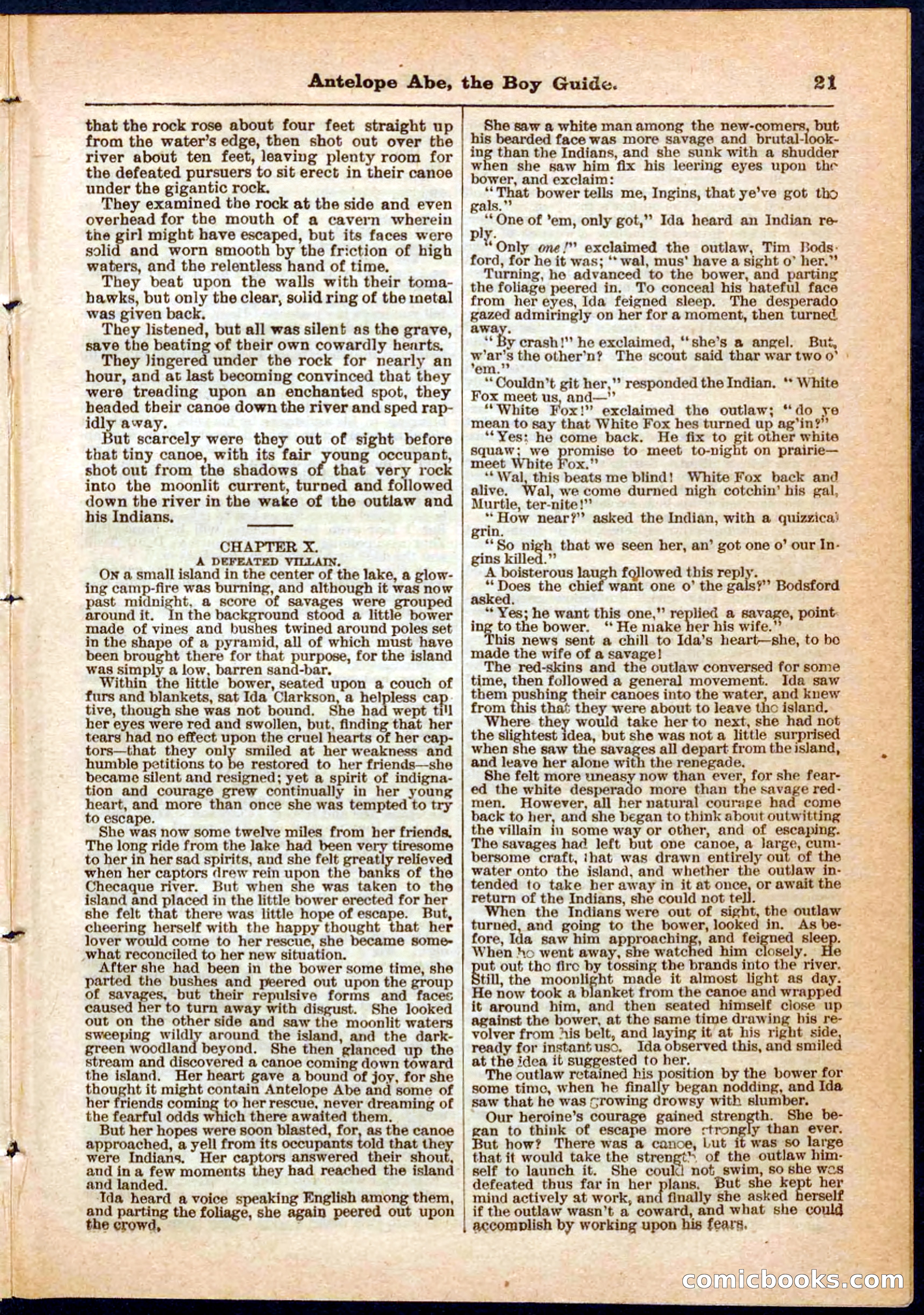 Beadle's Pocket Library No. 8 — page 21 of 32