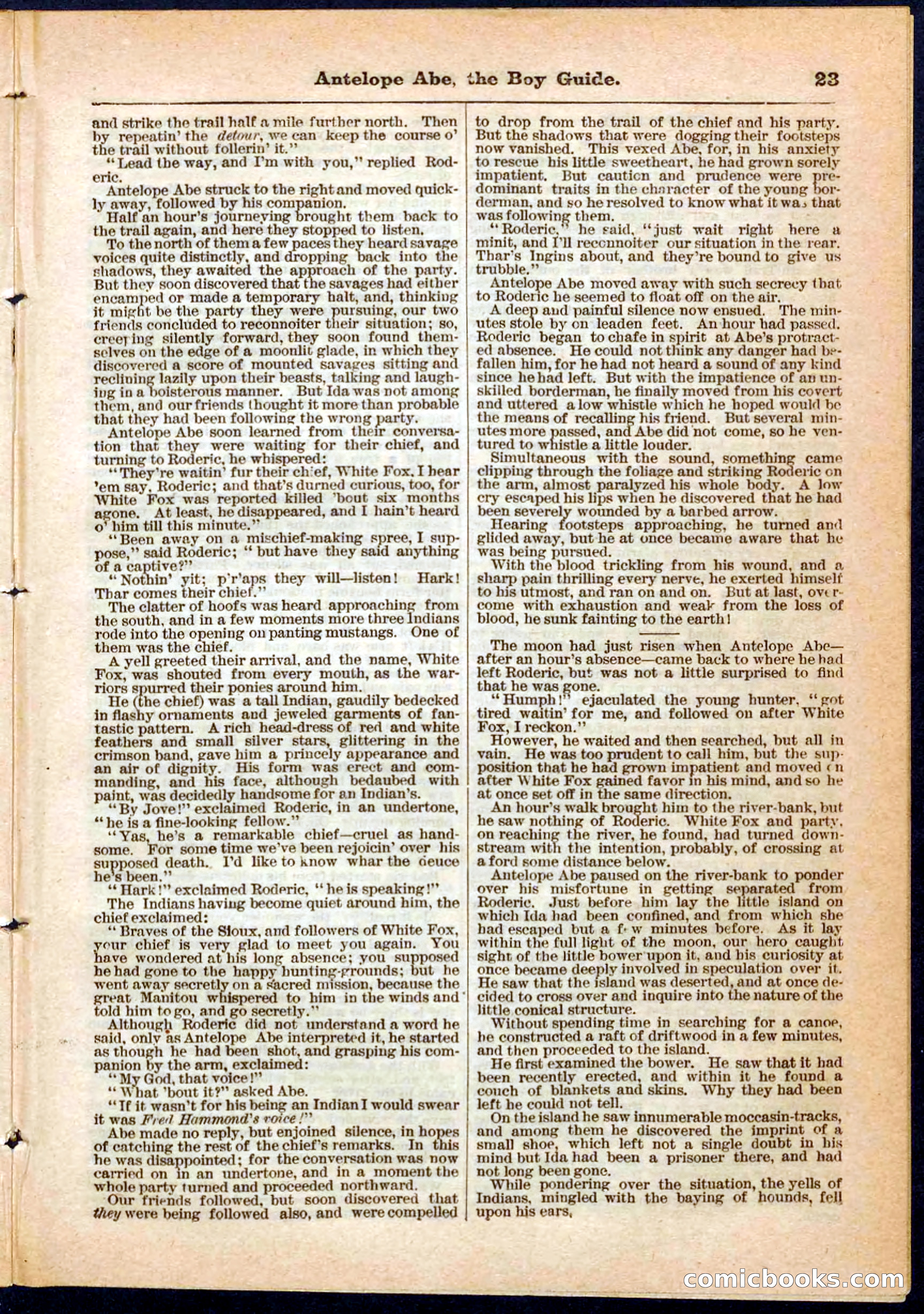 Beadle's Pocket Library No. 8 — page 23 of 32