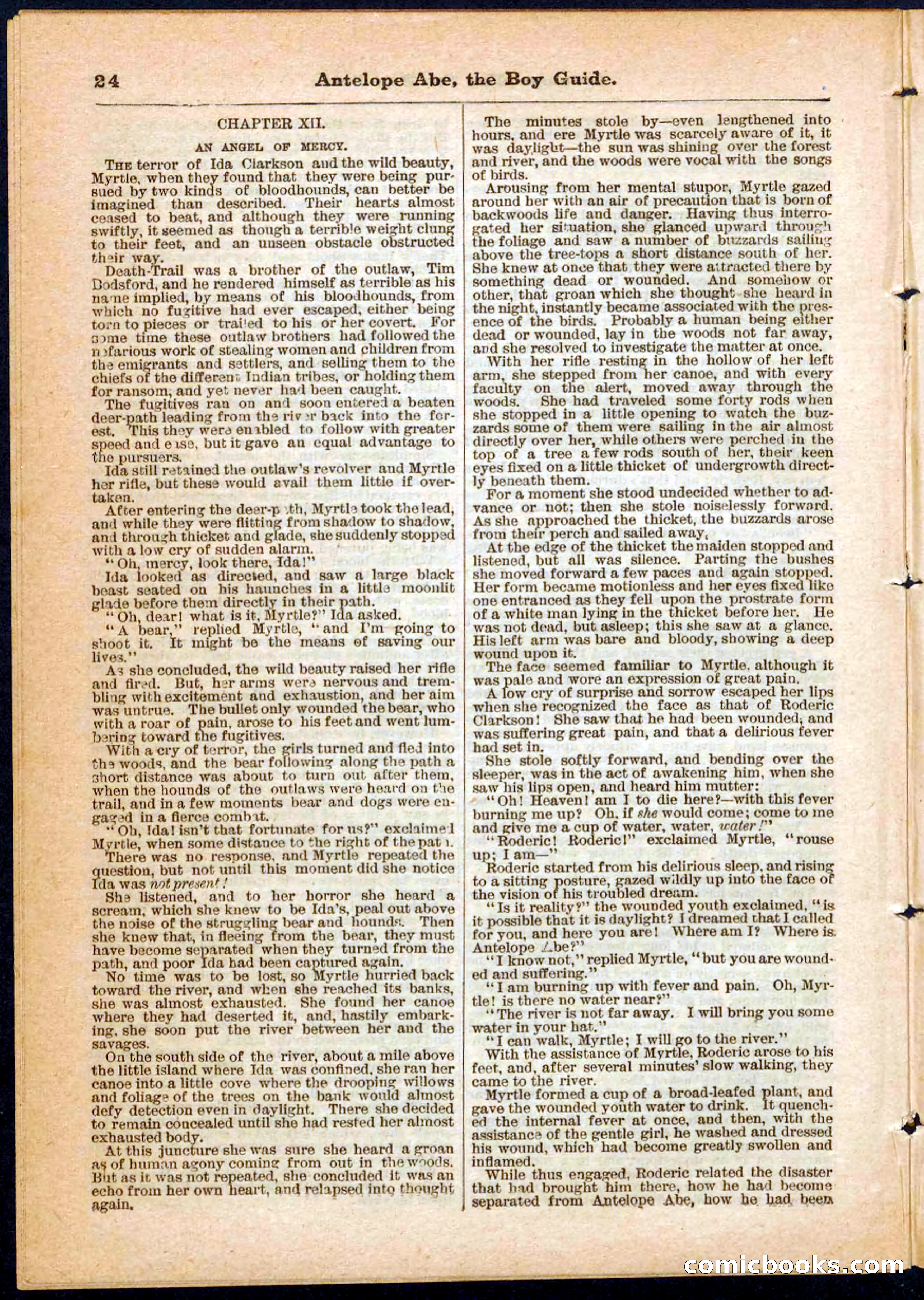 Beadle's Pocket Library No. 8 — page 24 of 32