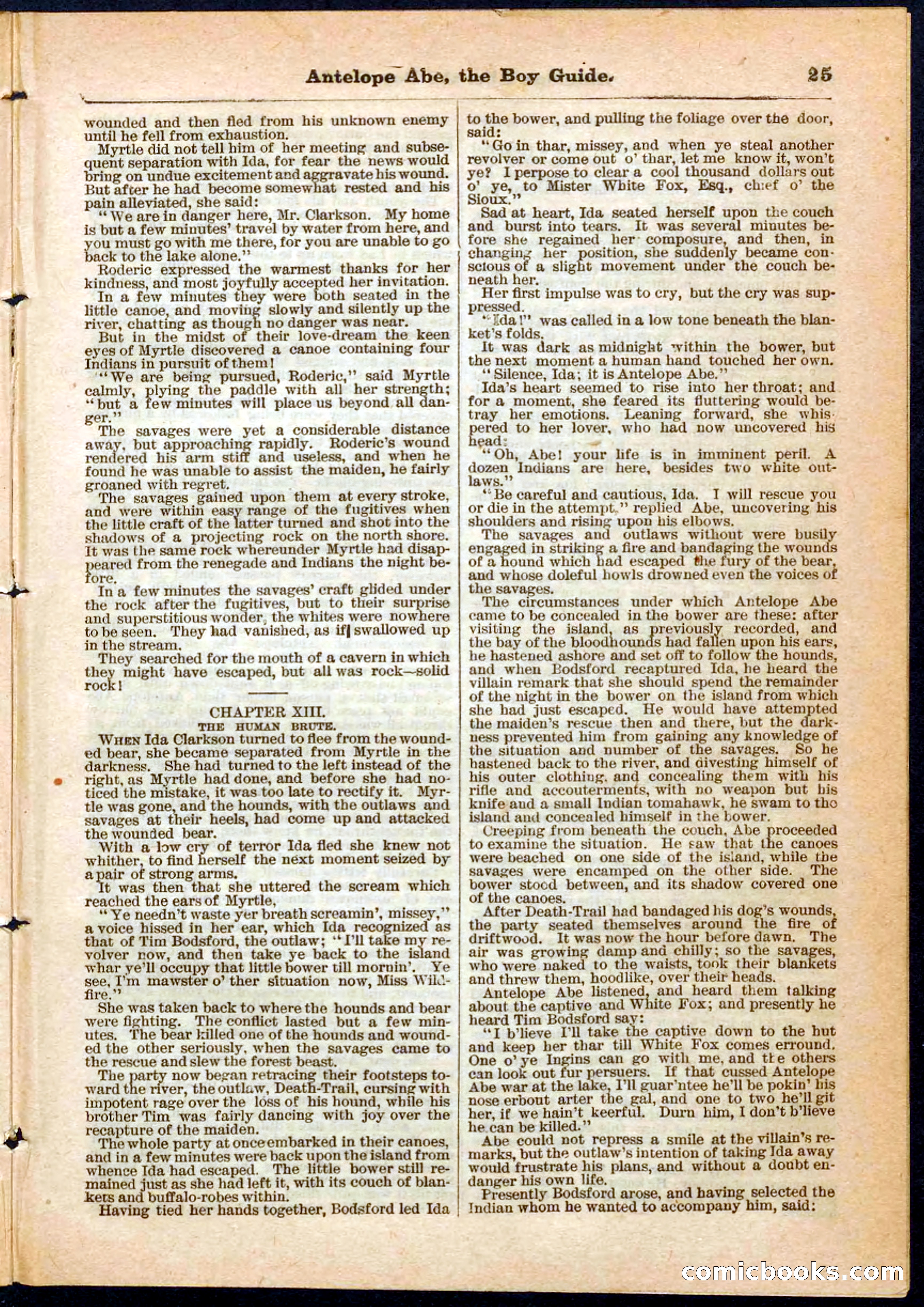 Beadle's Pocket Library No. 8 — page 25 of 32