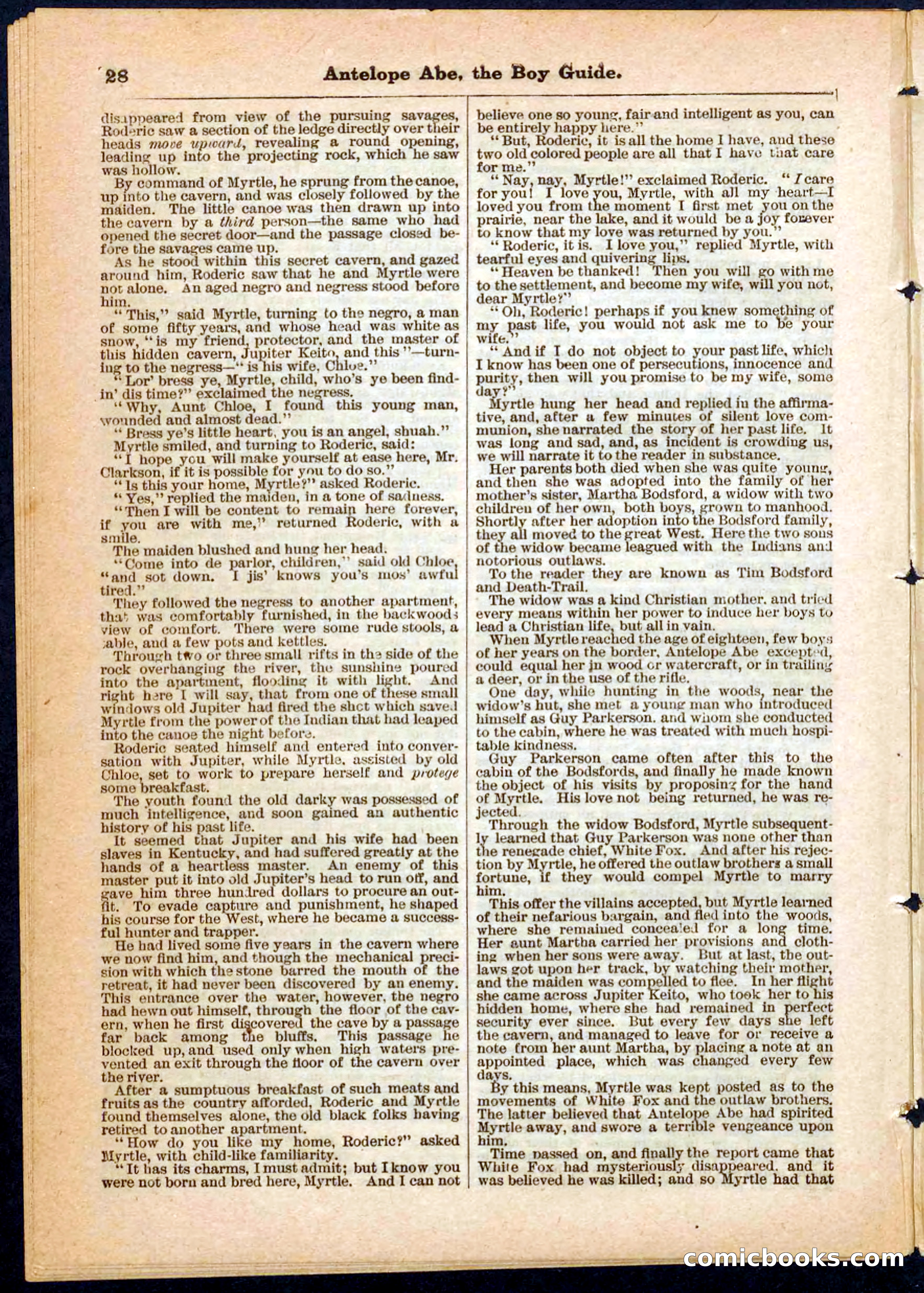 Beadle's Pocket Library No. 8 — page 28 of 32