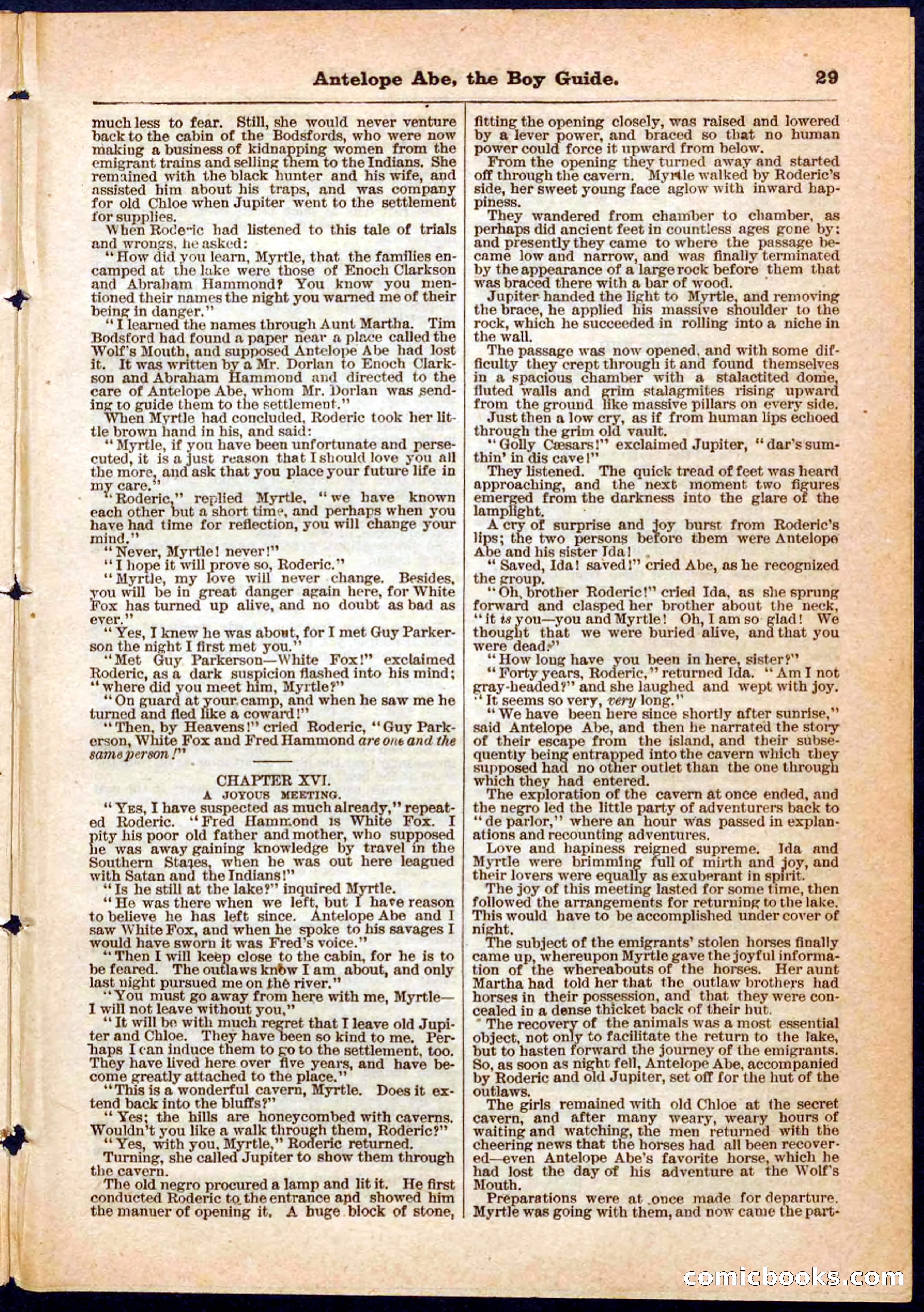 Beadle's Pocket Library No. 8 — page 29 of 32