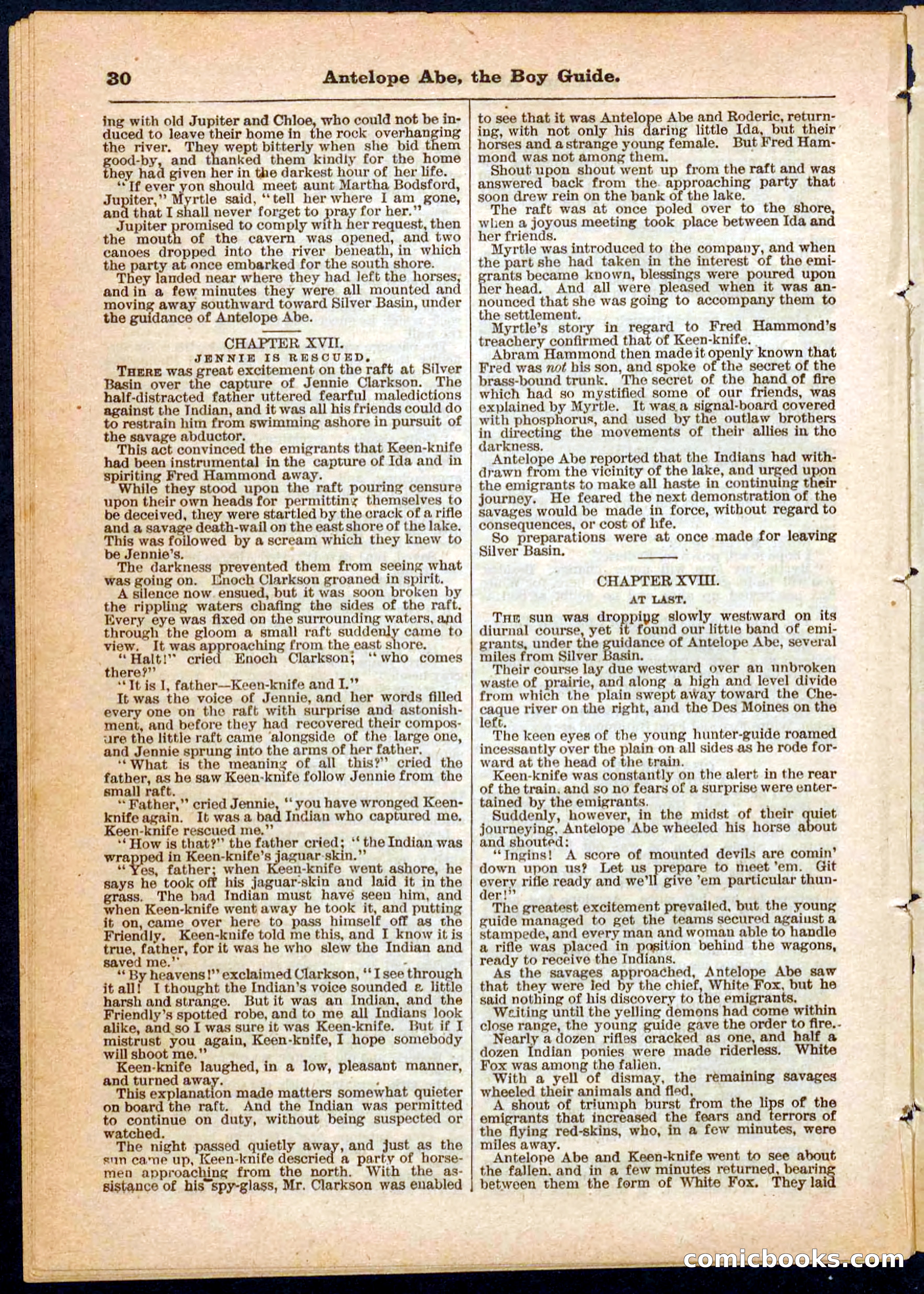 Beadle's Pocket Library No. 8 — page 30 of 32