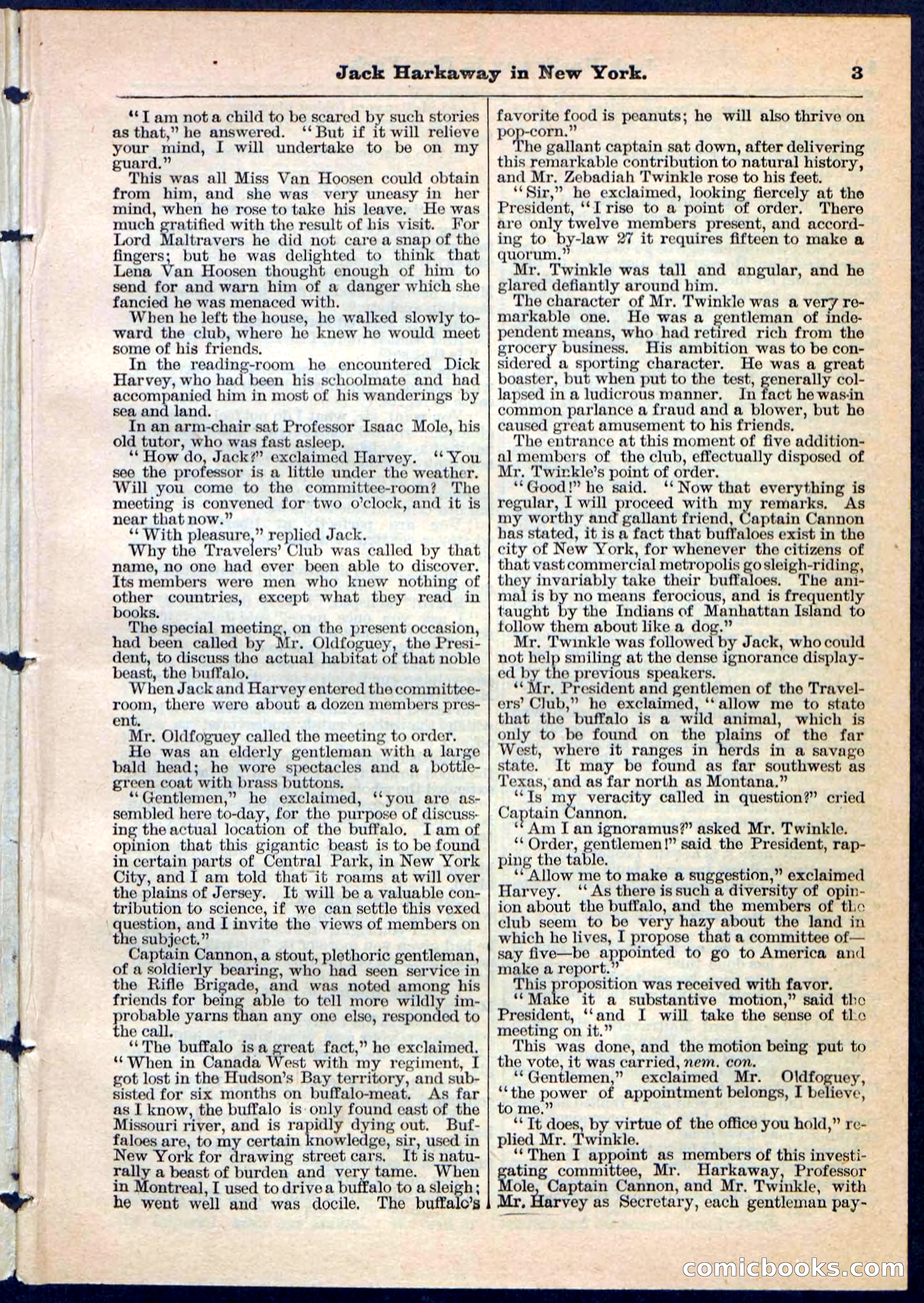 Beadle's Pocket Library No. 86 — page 3 of 32