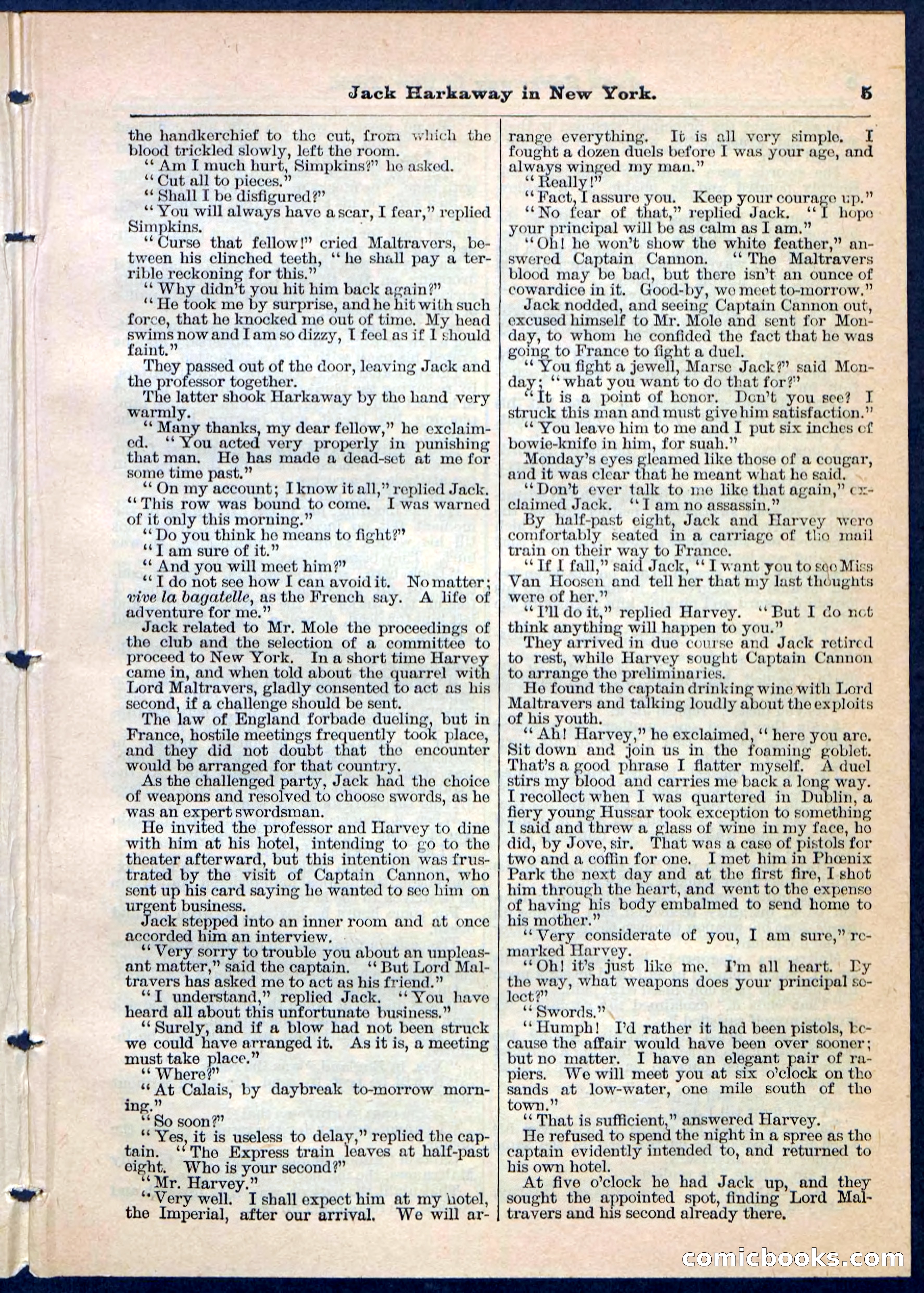 Beadle's Pocket Library No. 86 — page 5 of 32