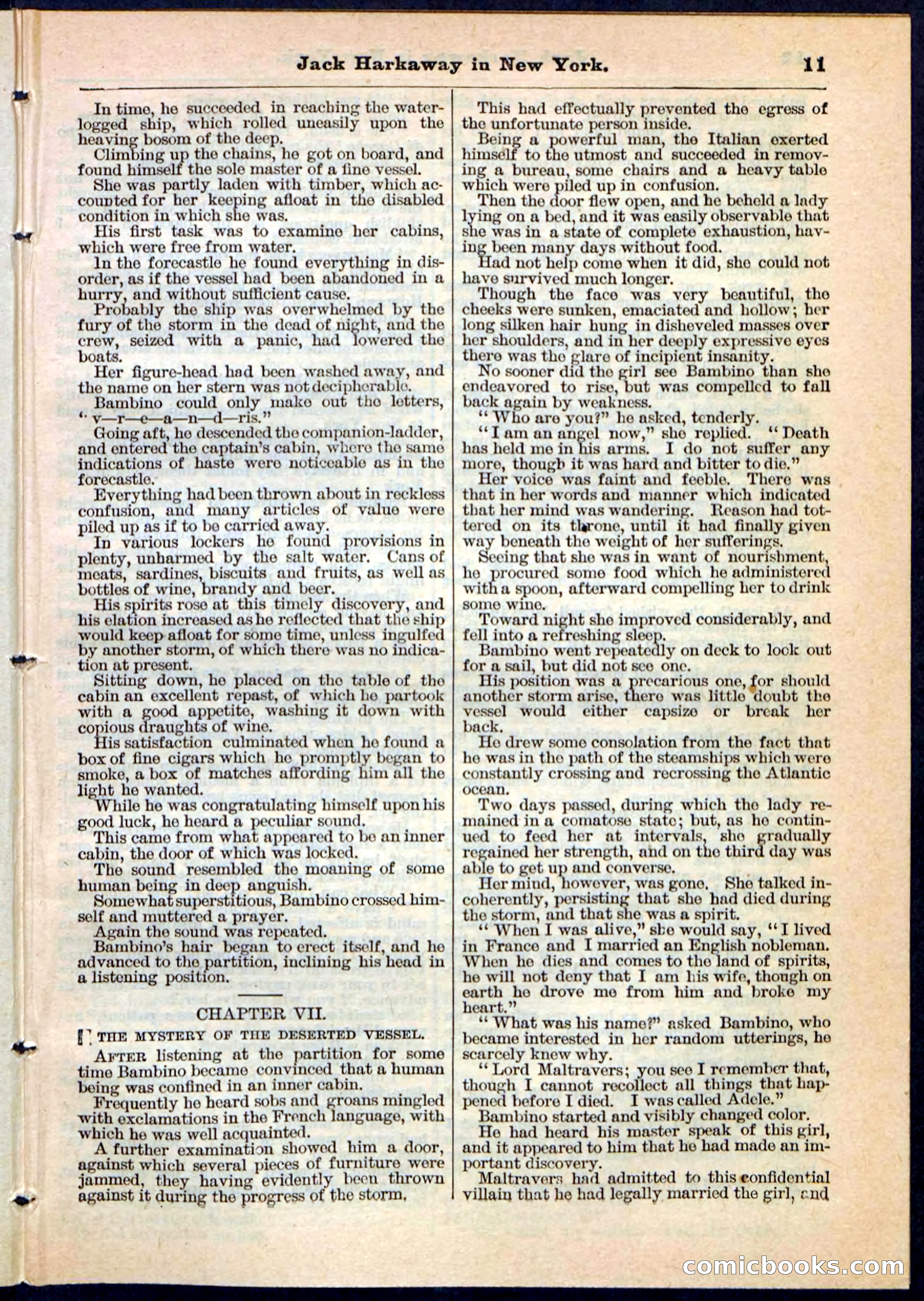 Beadle's Pocket Library No. 86 — page 11 of 32