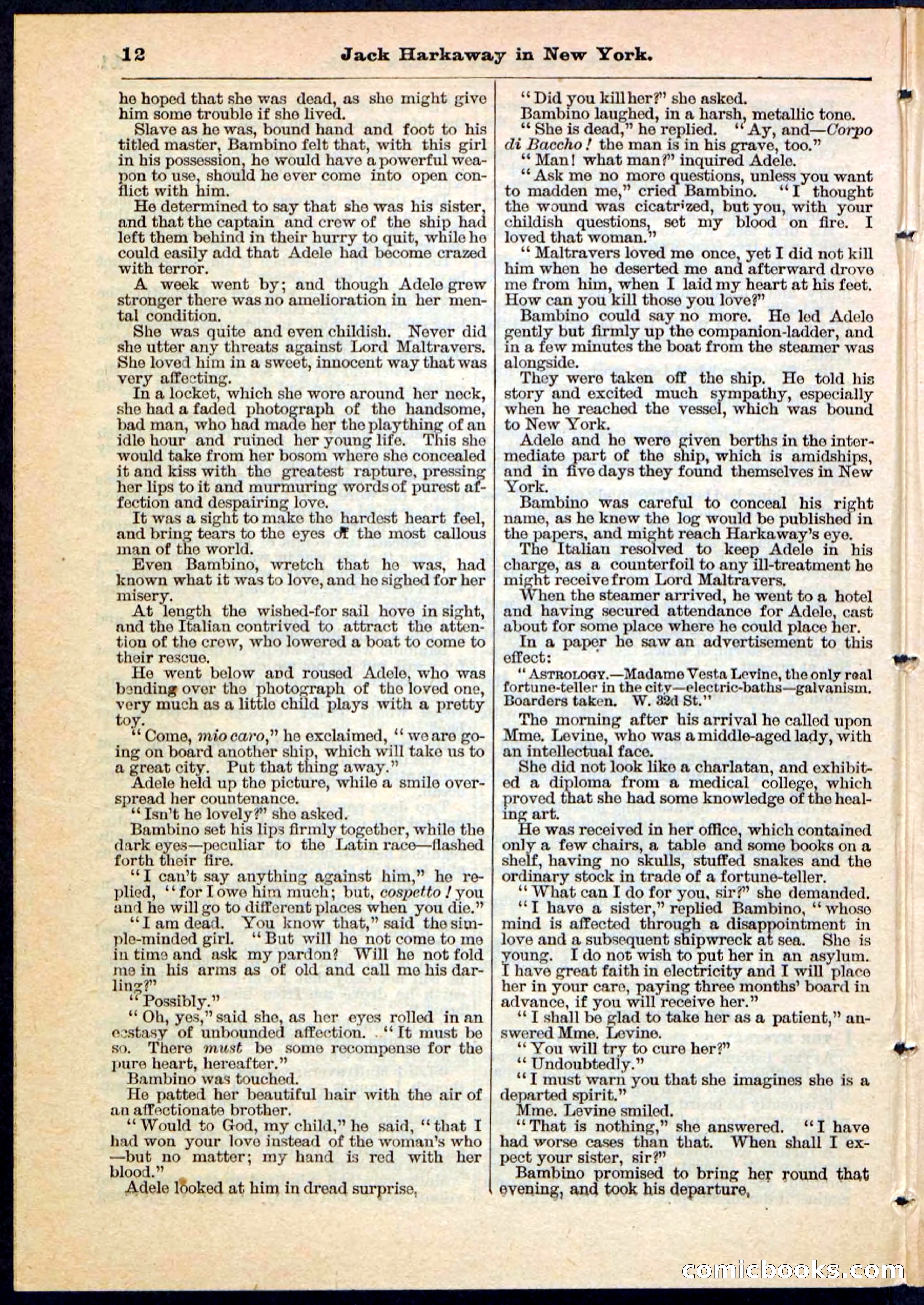 Beadle's Pocket Library No. 86 — page 12 of 32