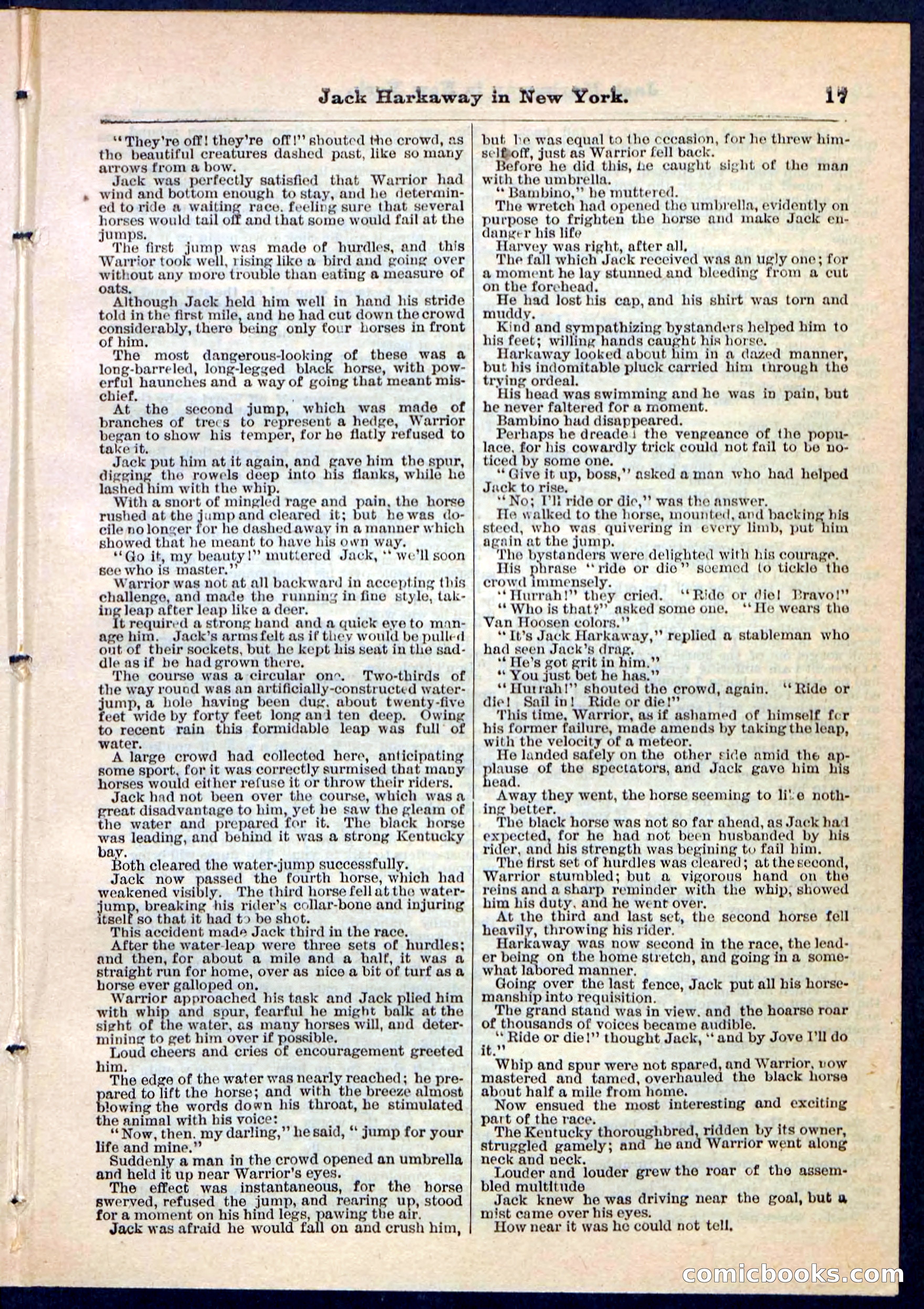 Beadle's Pocket Library No. 86 — page 17 of 32