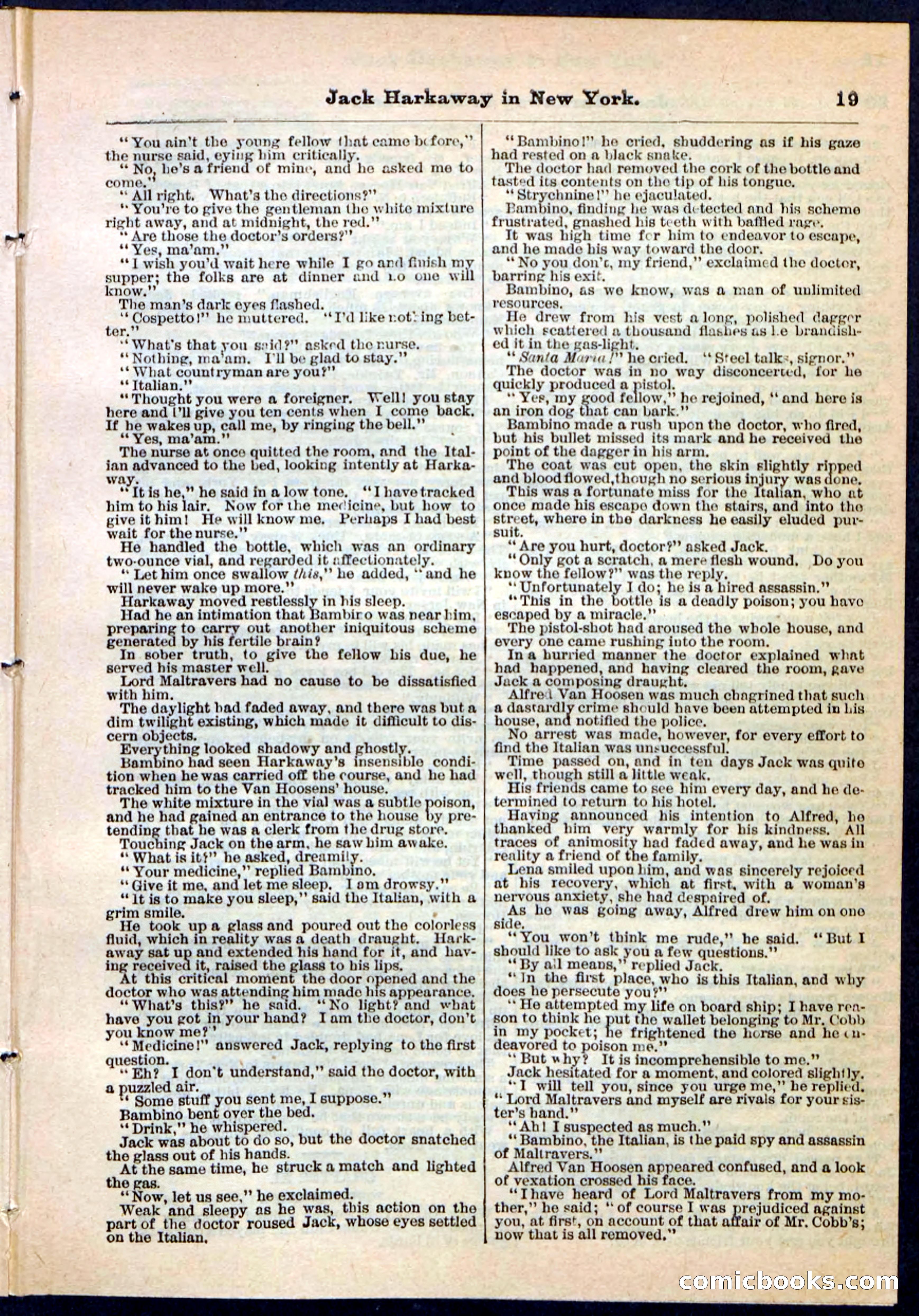 Beadle's Pocket Library No. 86 — page 19 of 32