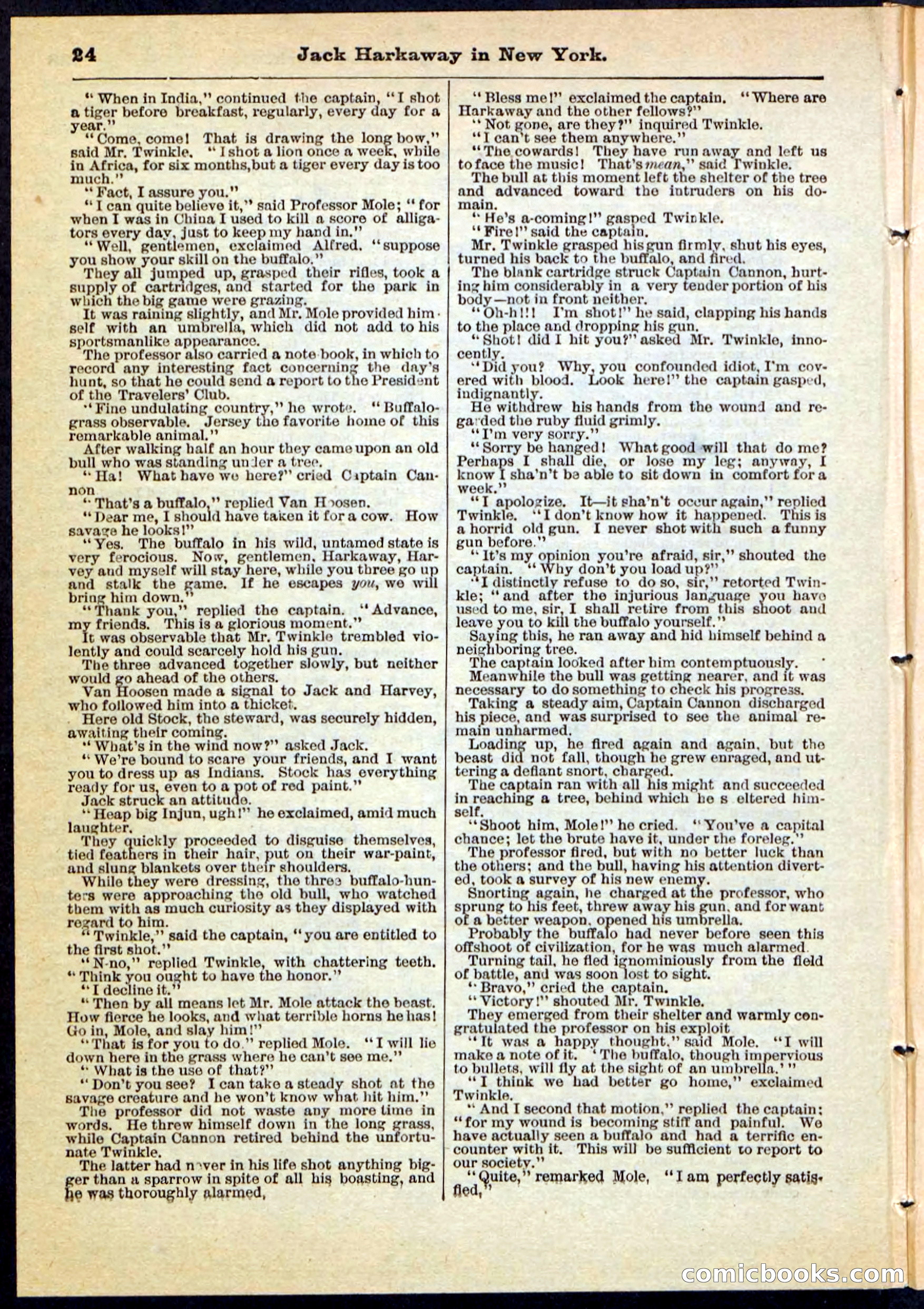Beadle's Pocket Library No. 86 — page 24 of 32
