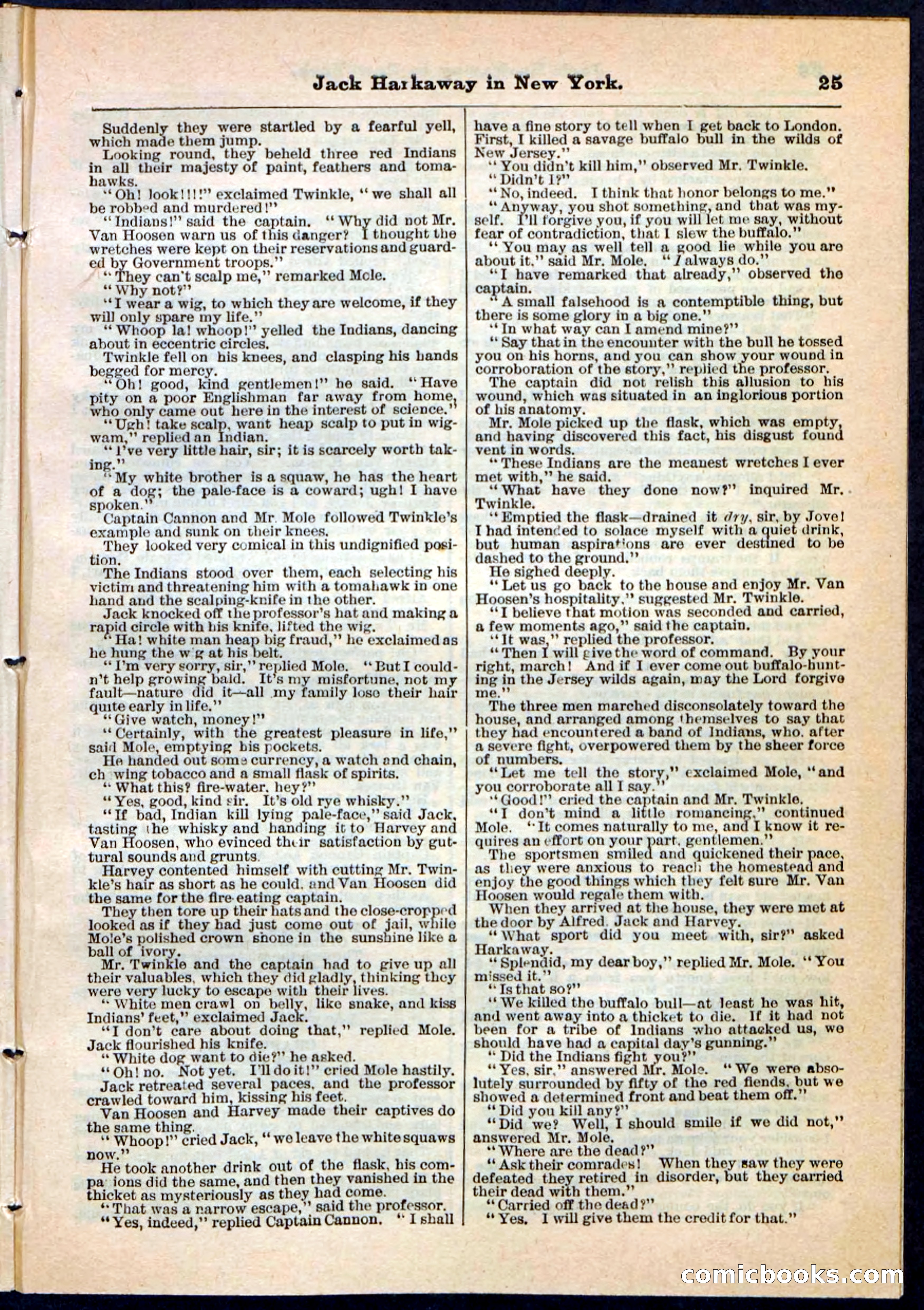 Beadle's Pocket Library No. 86 — page 25 of 32