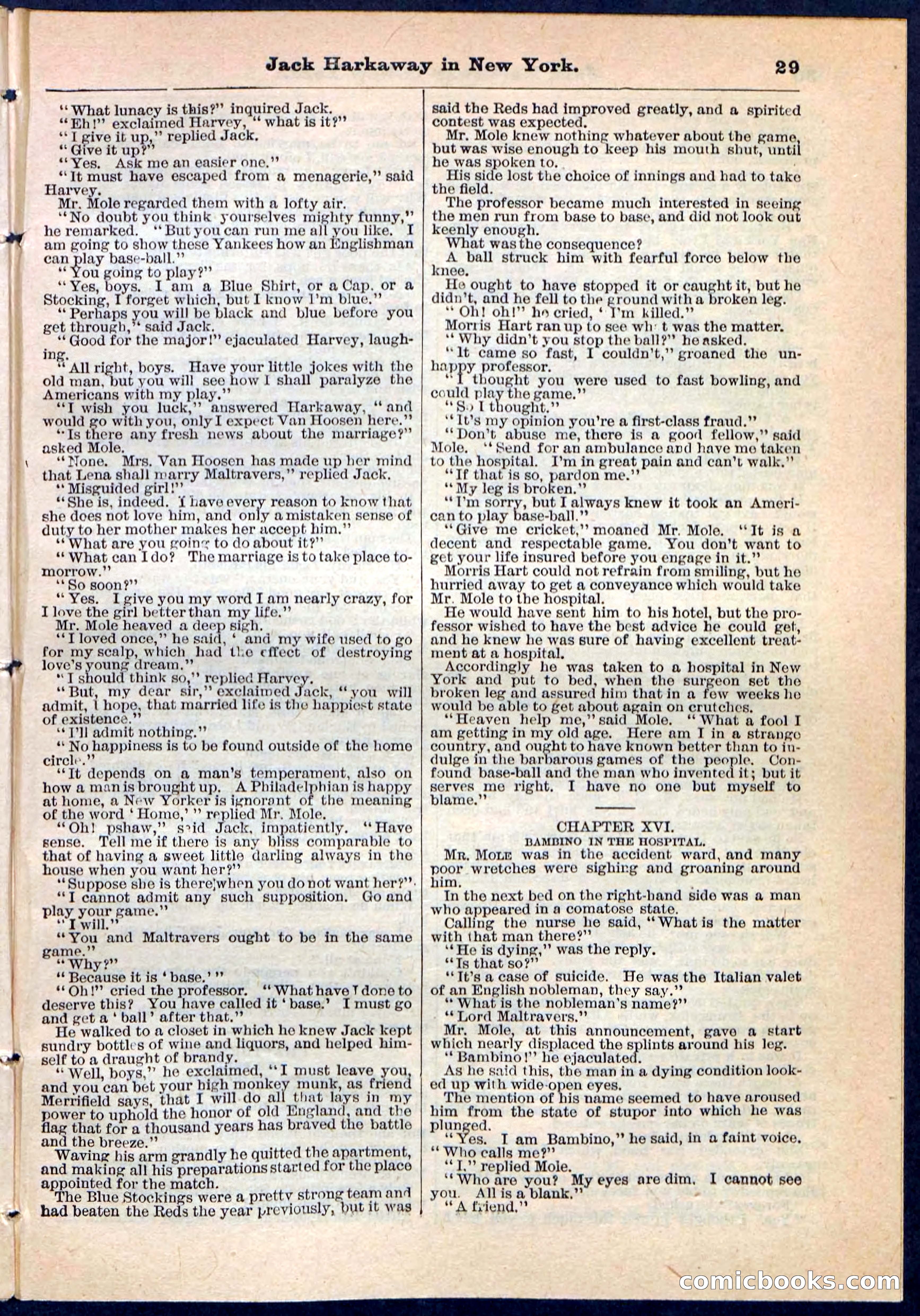 Beadle's Pocket Library No. 86 — page 29 of 32