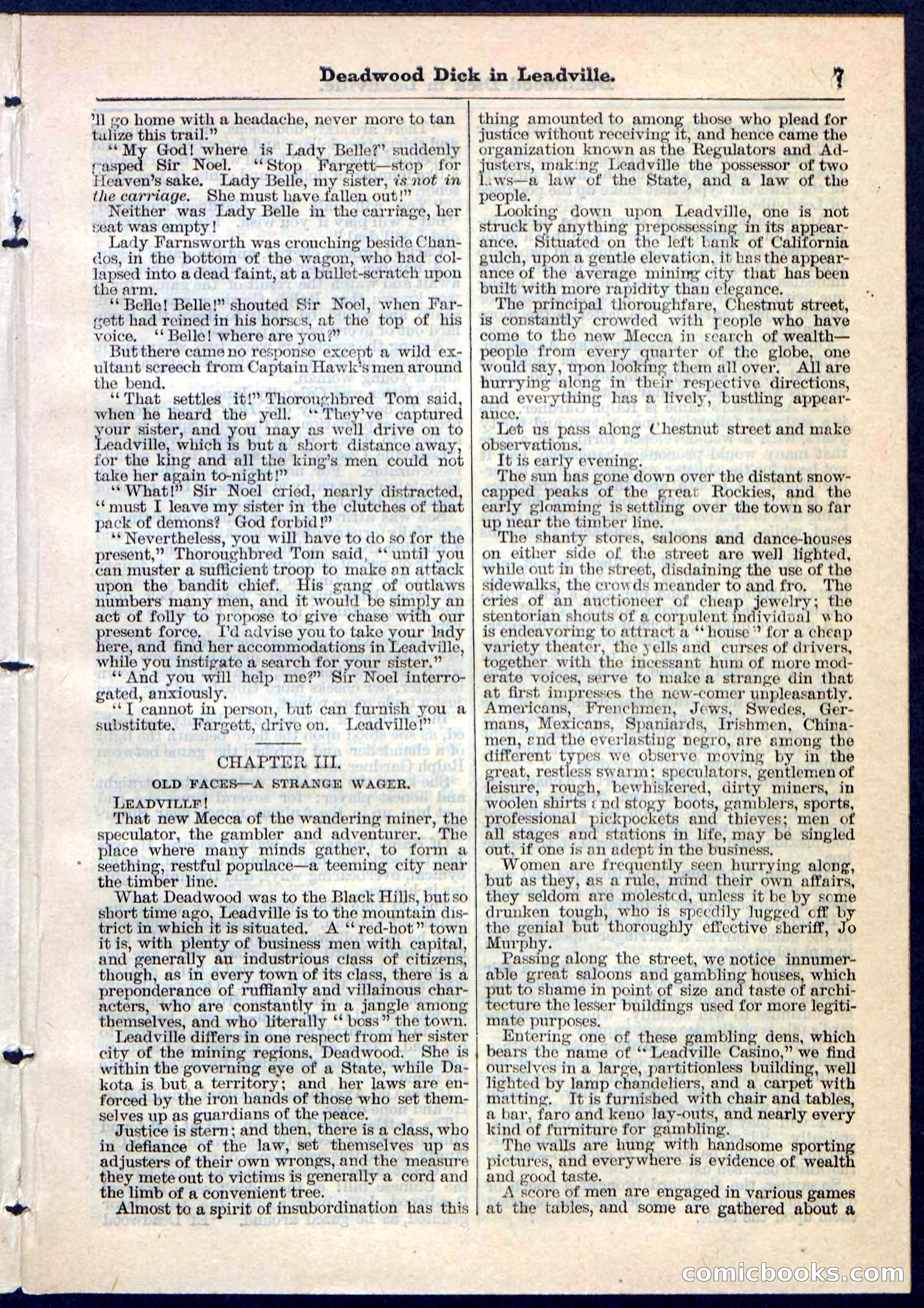 Beadle's Pocket Library No. 88 — page 7 of 32
