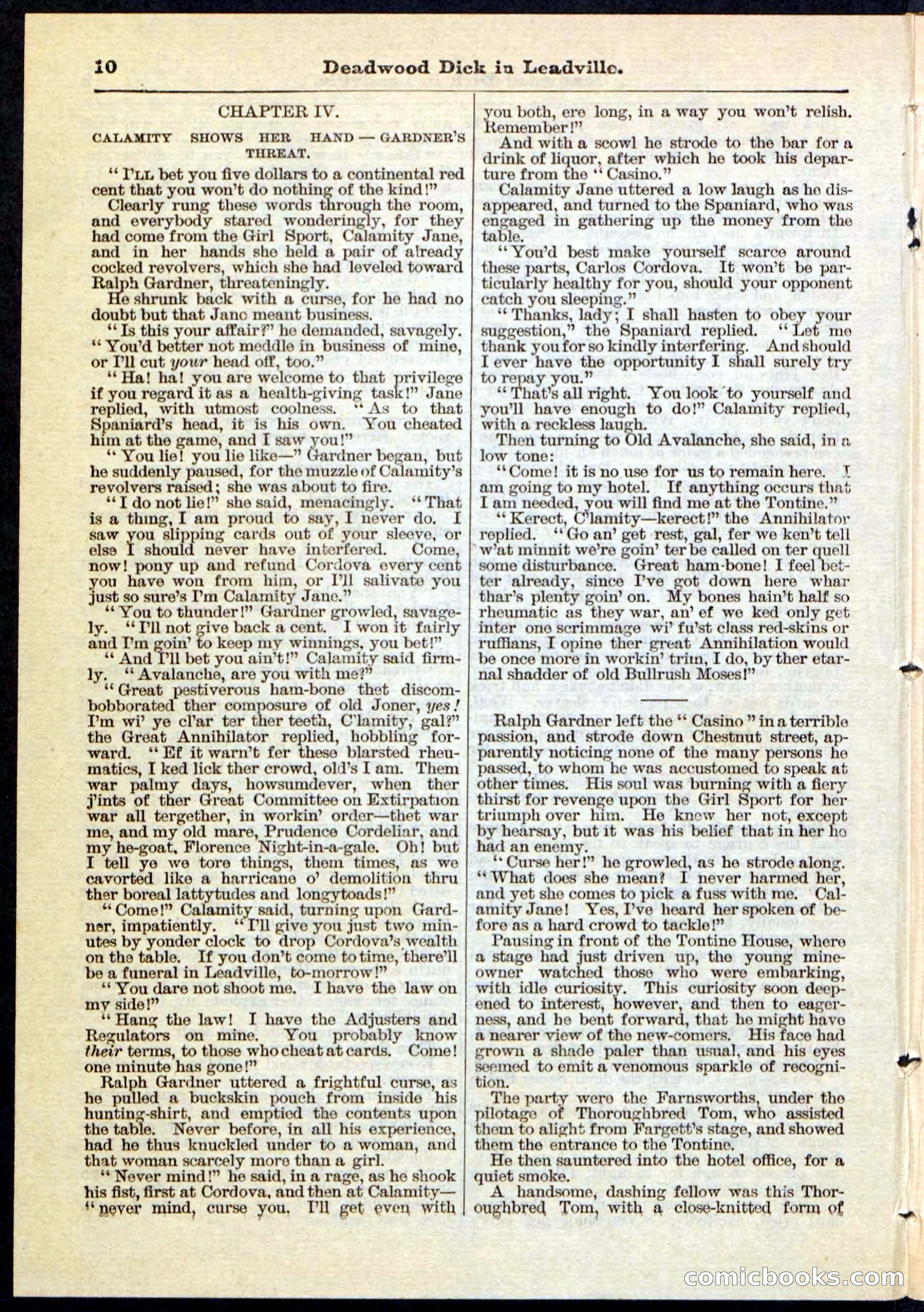 Beadle's Pocket Library No. 88 — page 10 of 32