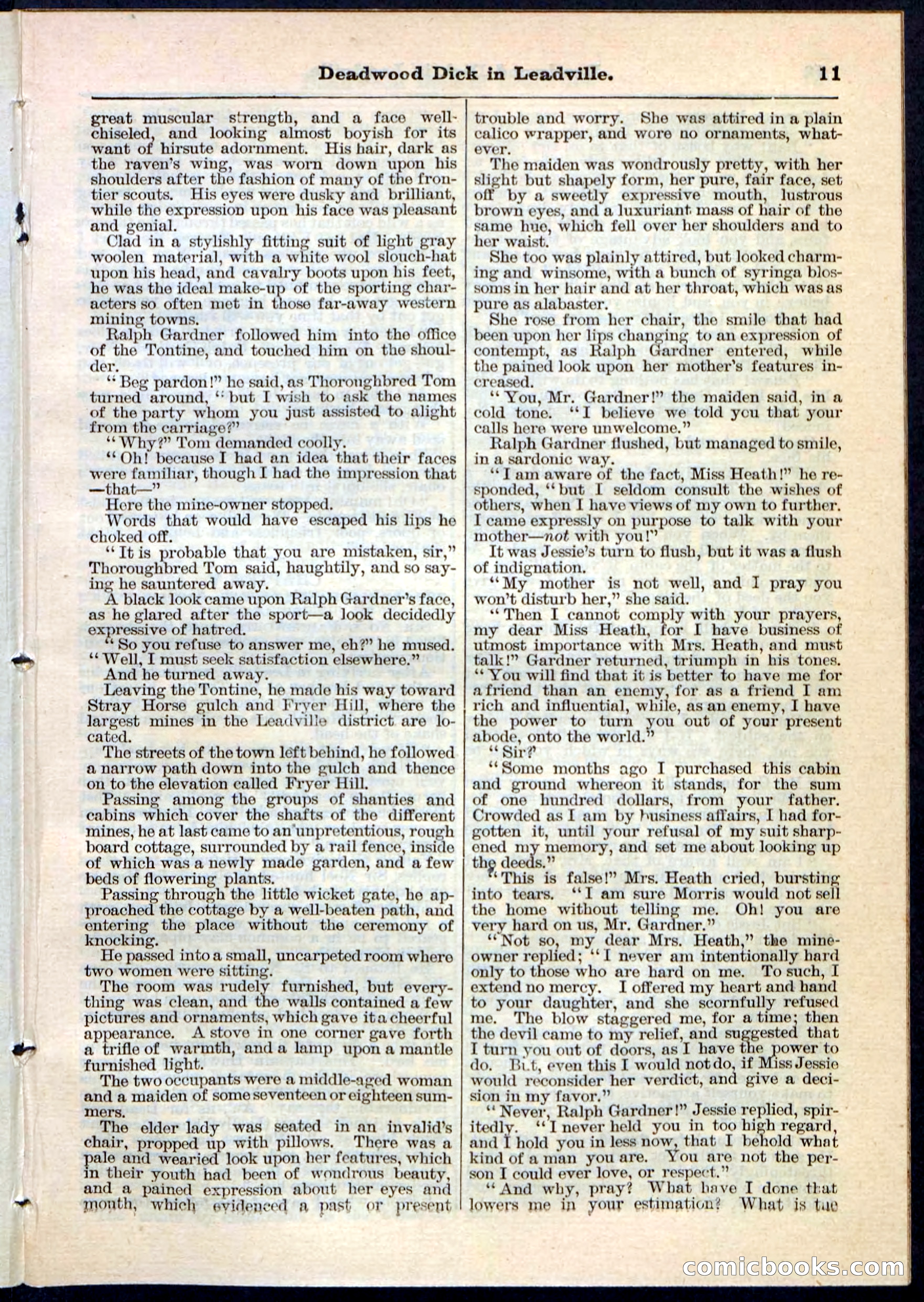 Beadle's Pocket Library No. 88 — page 11 of 32